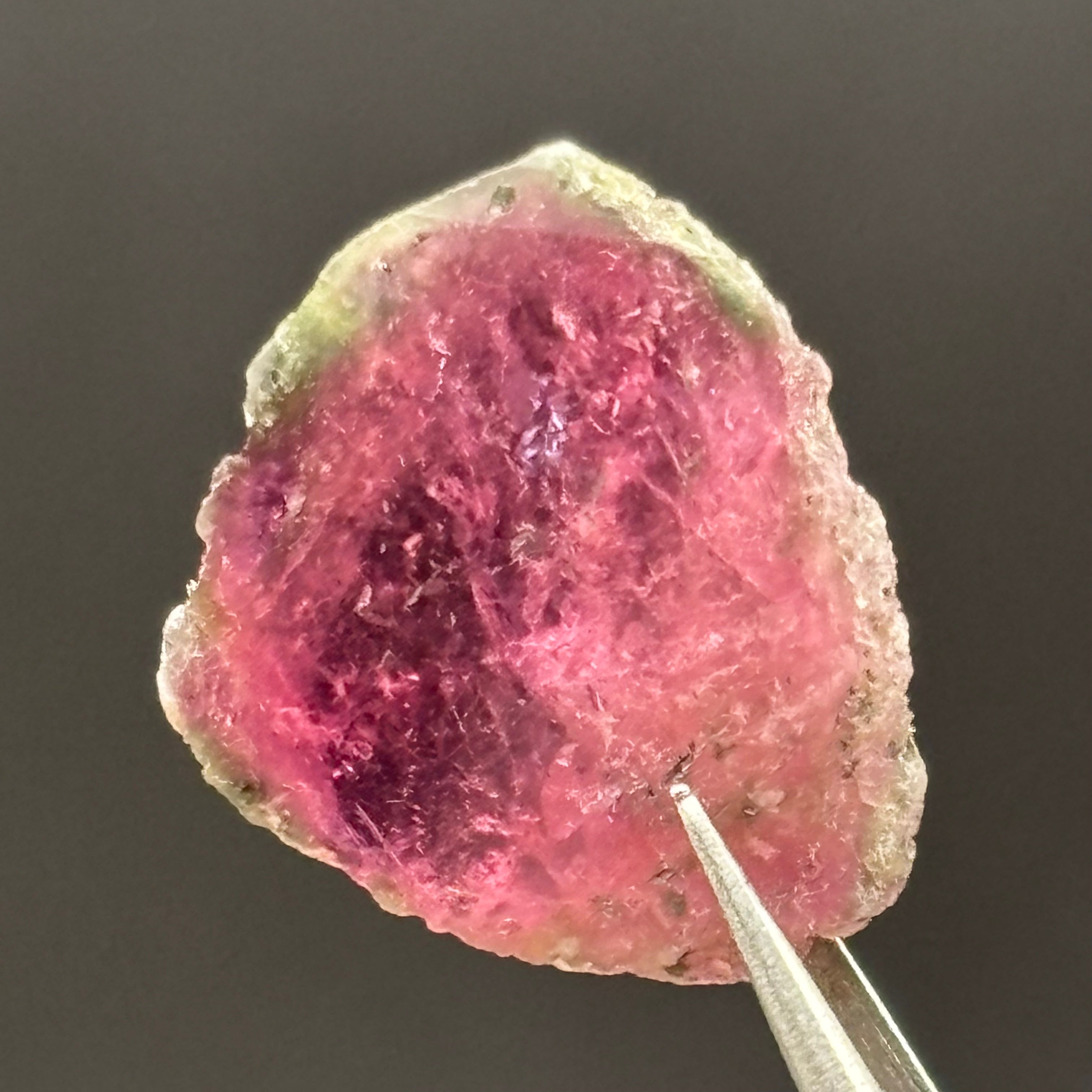 Watermelon Tourmaline Crystal Slice - 151