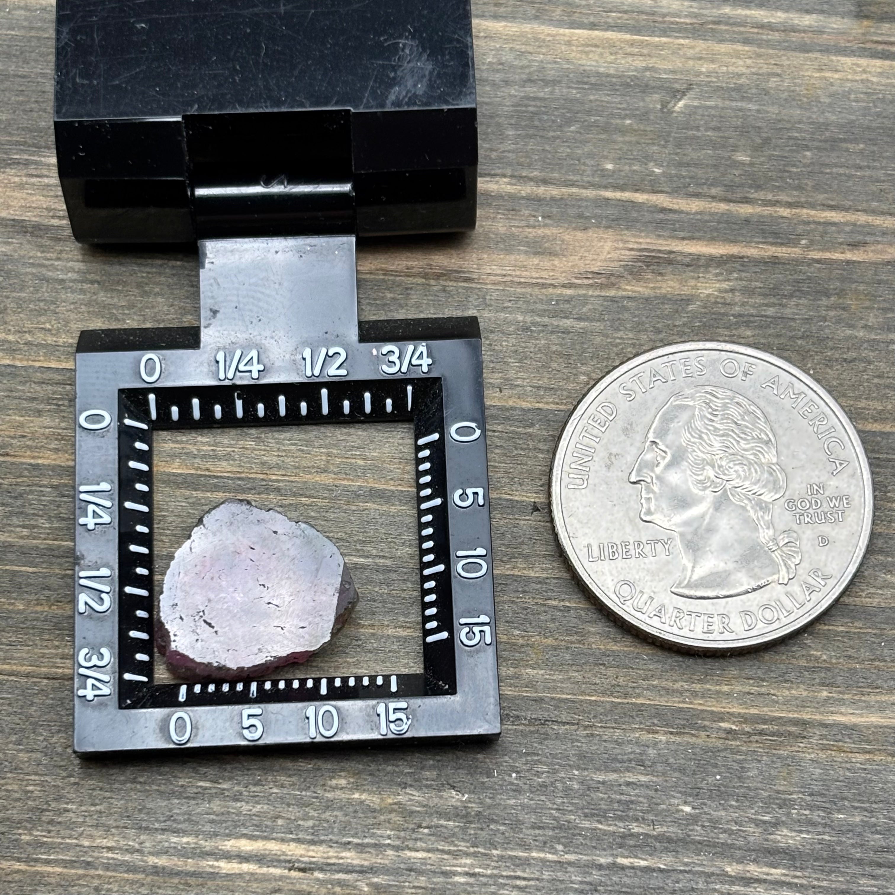 Watermelon Tourmaline Crystal Slice - 151