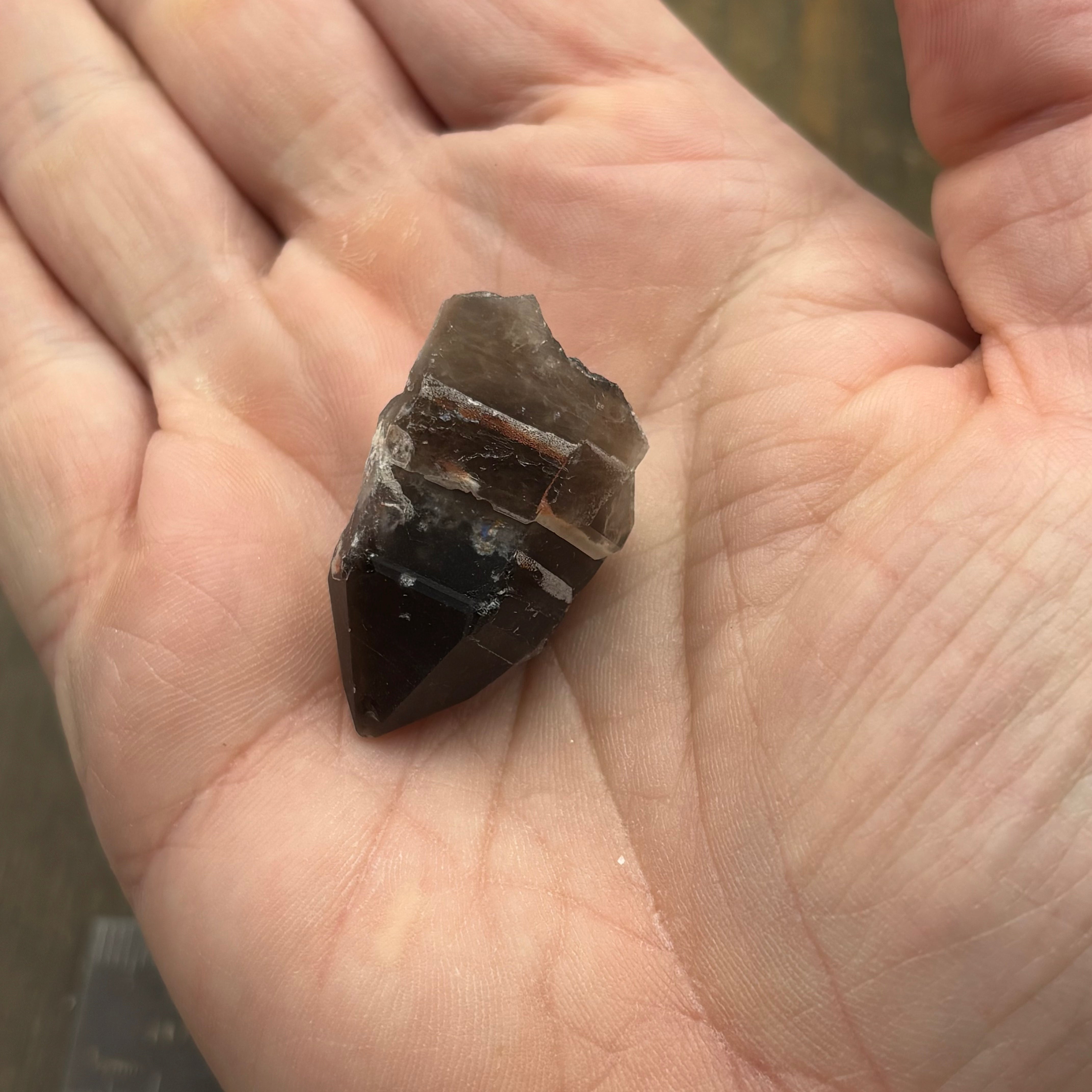 Dark Smoky Quartz Whole Crystal - 050