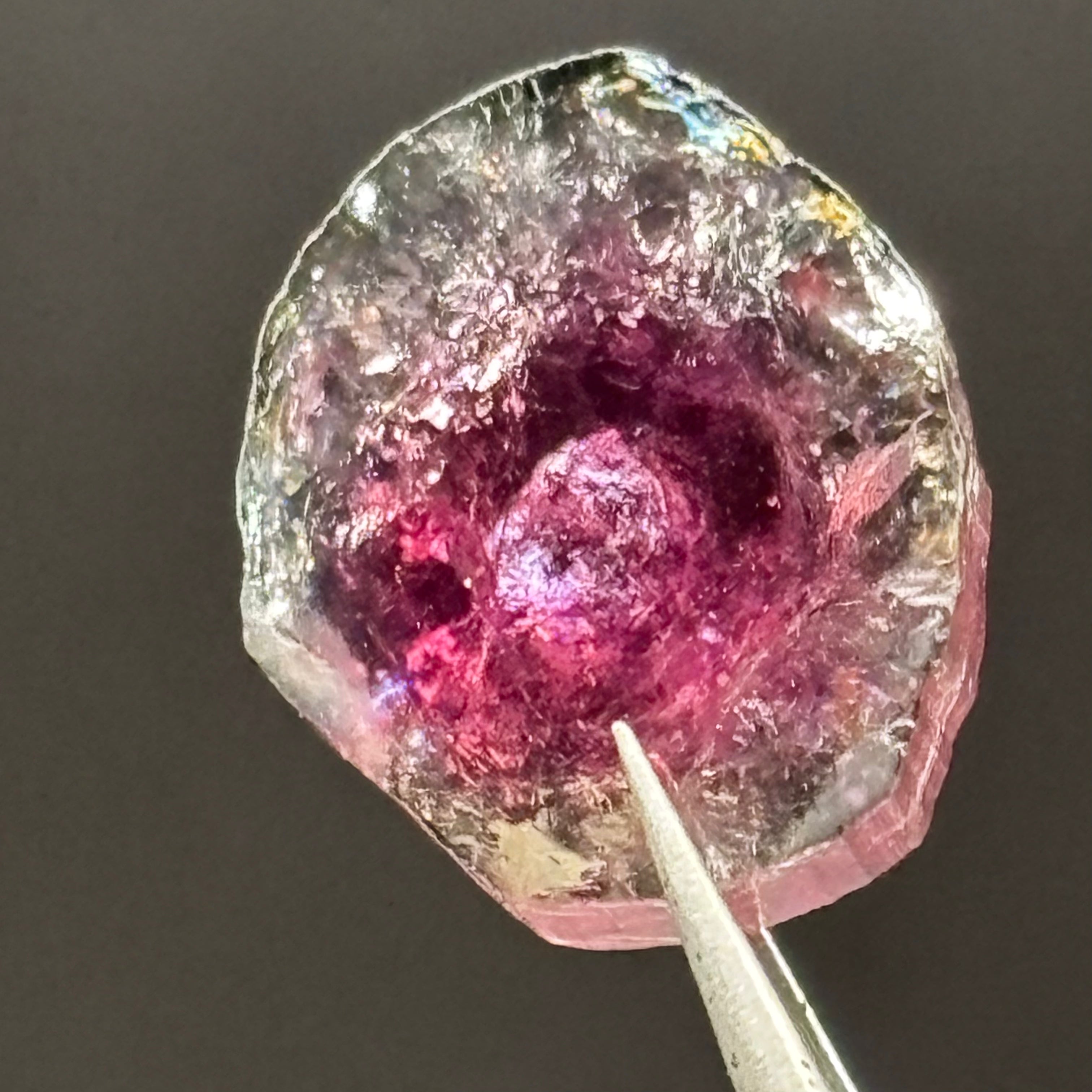 Watermelon Tourmaline Crystal Slice - 152