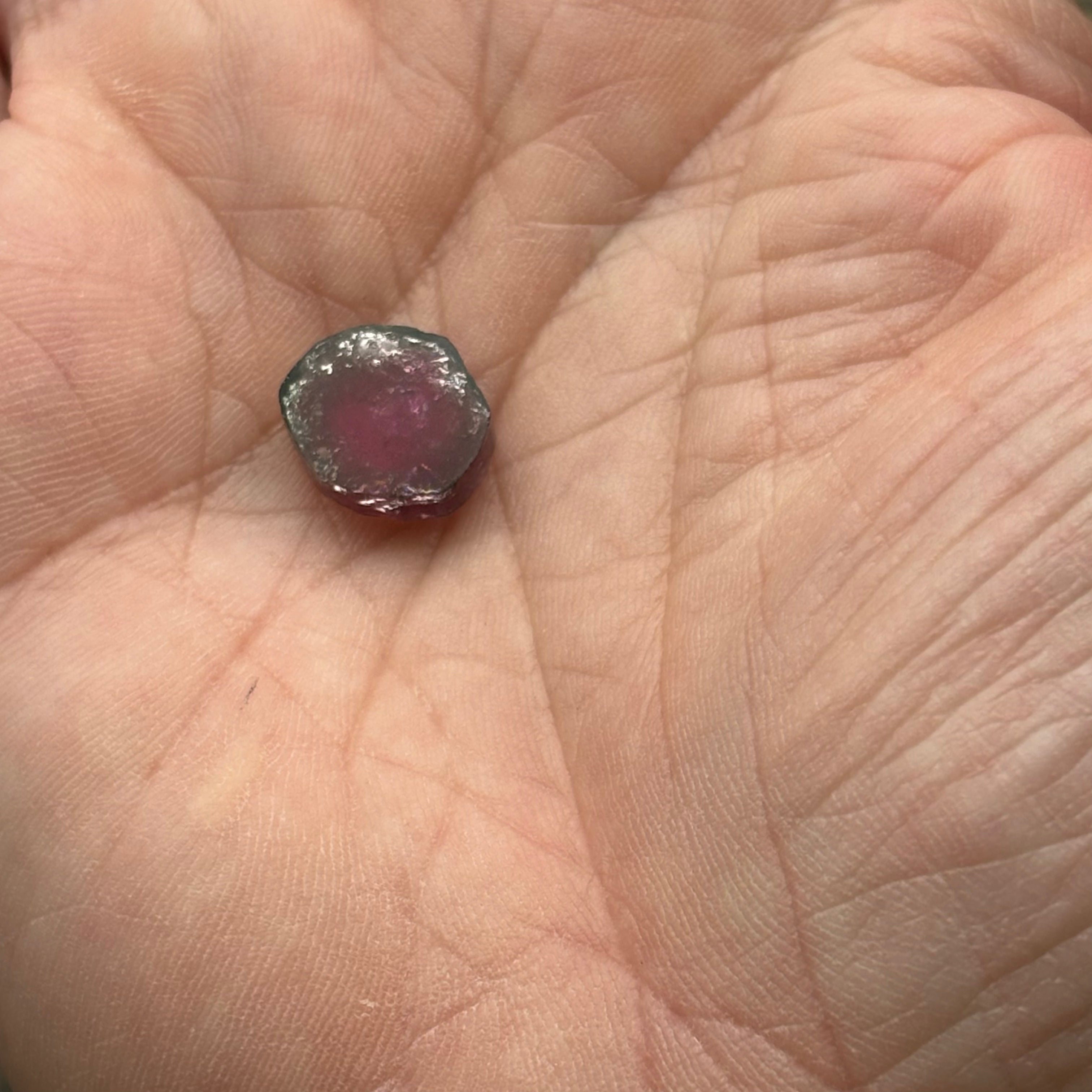 Watermelon Tourmaline Crystal Slice - 152