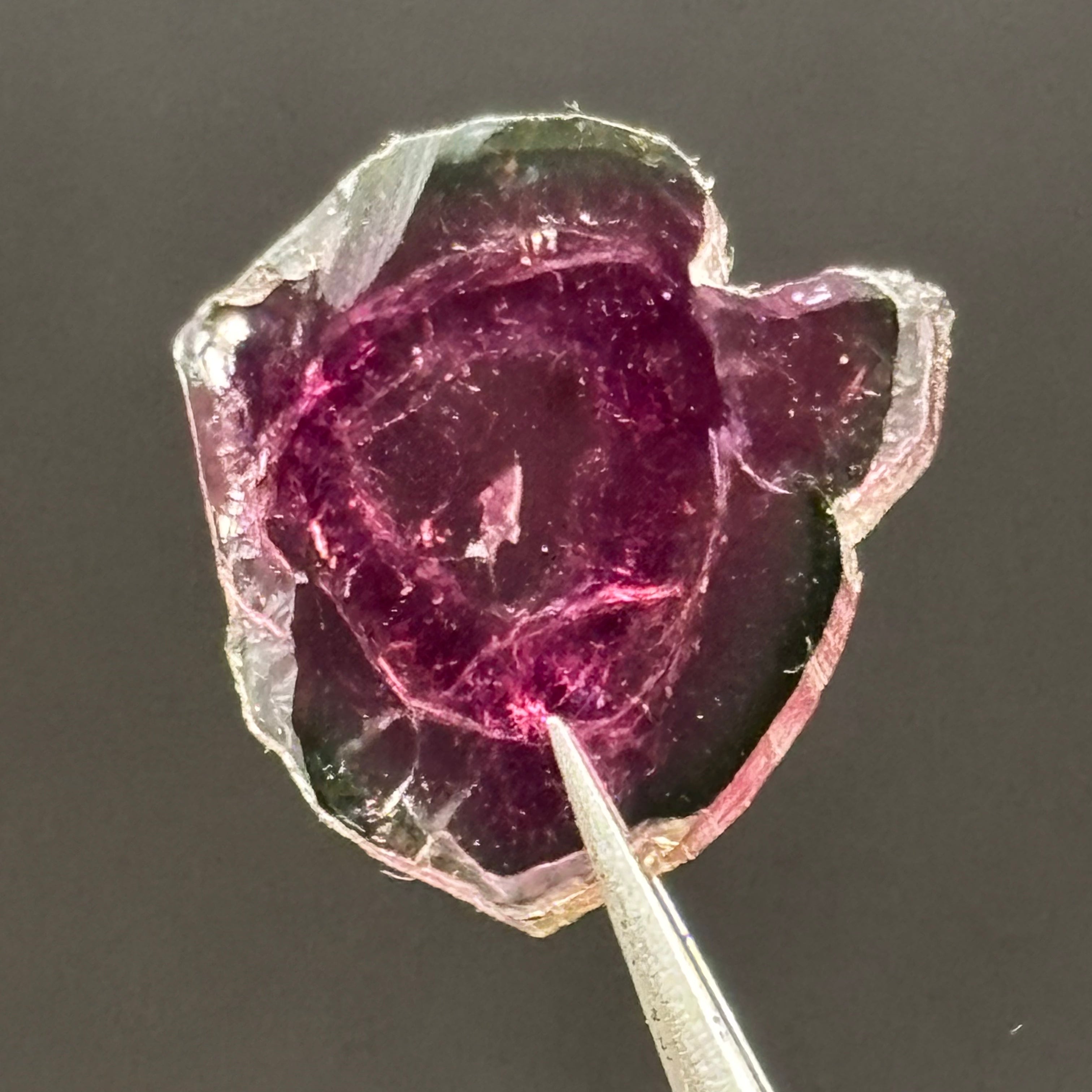 Watermelon Tourmaline Cross-Section - 153