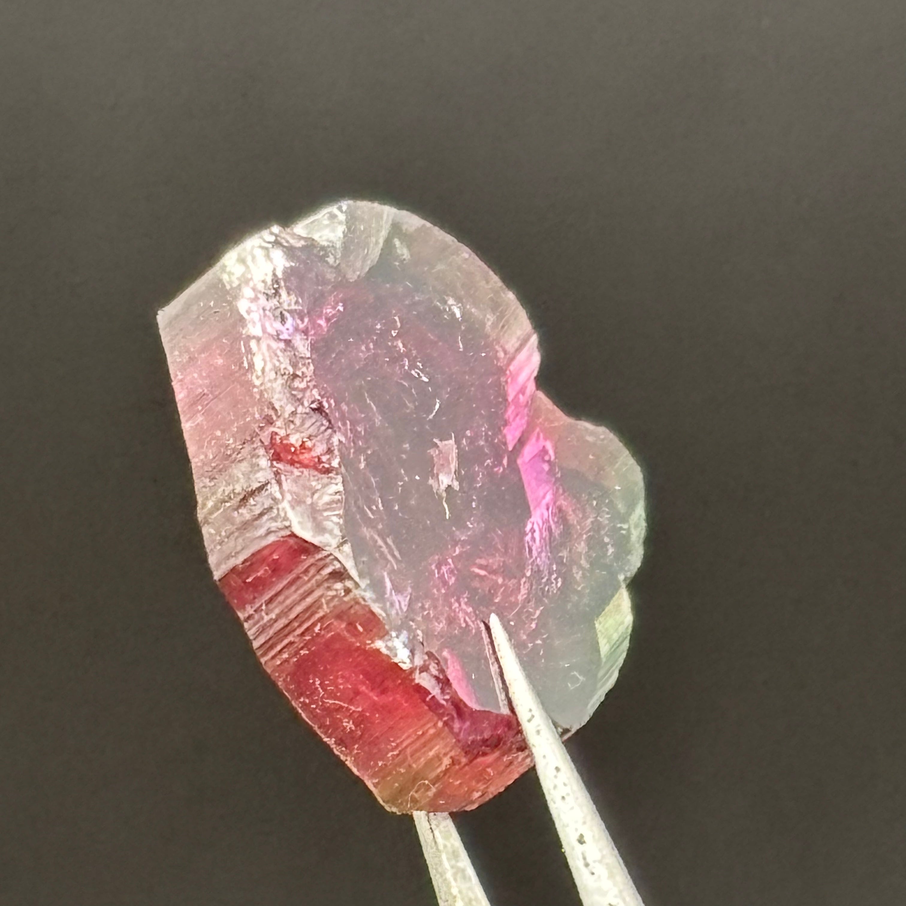 Watermelon Tourmaline Cross-Section - 153