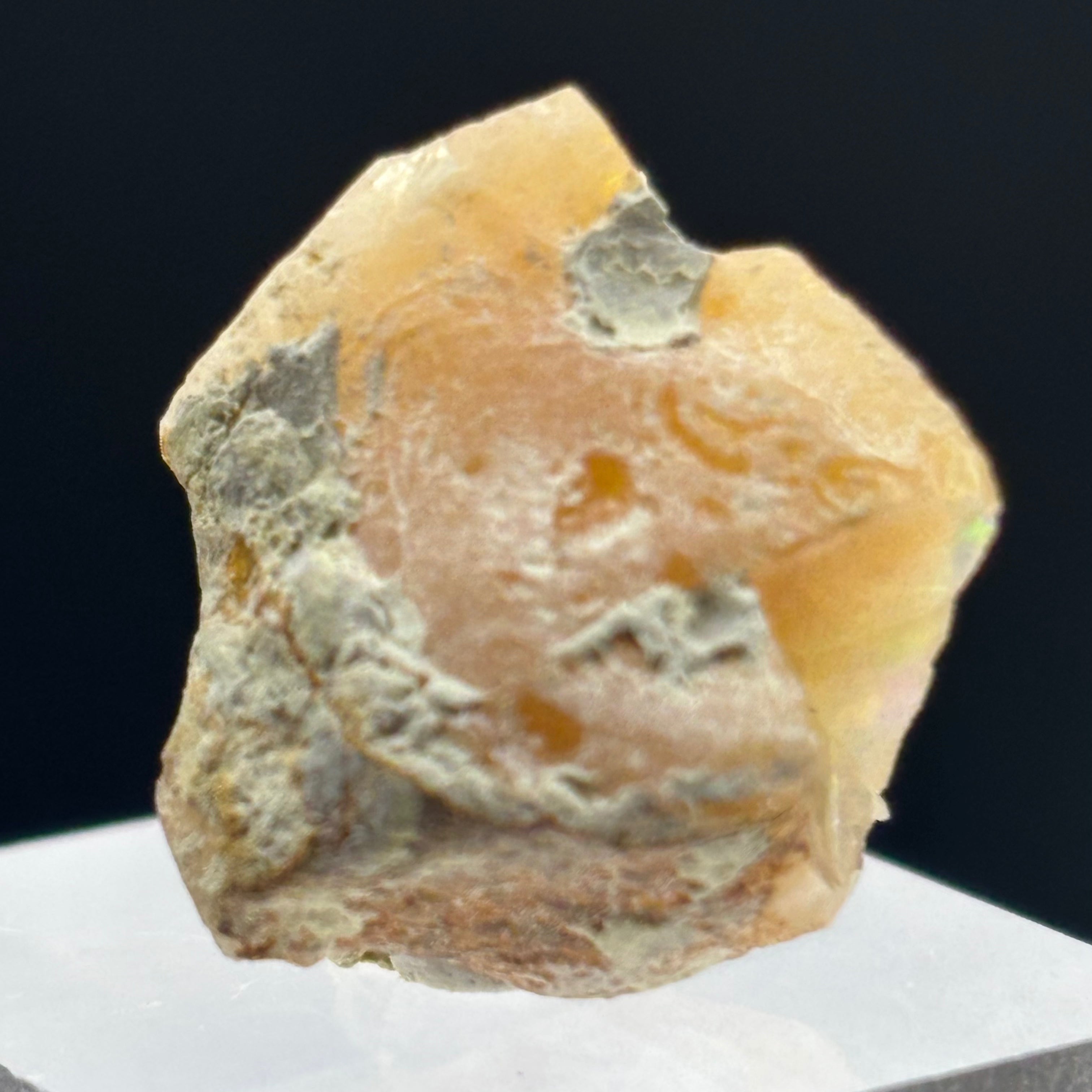 Welo Opal - 208