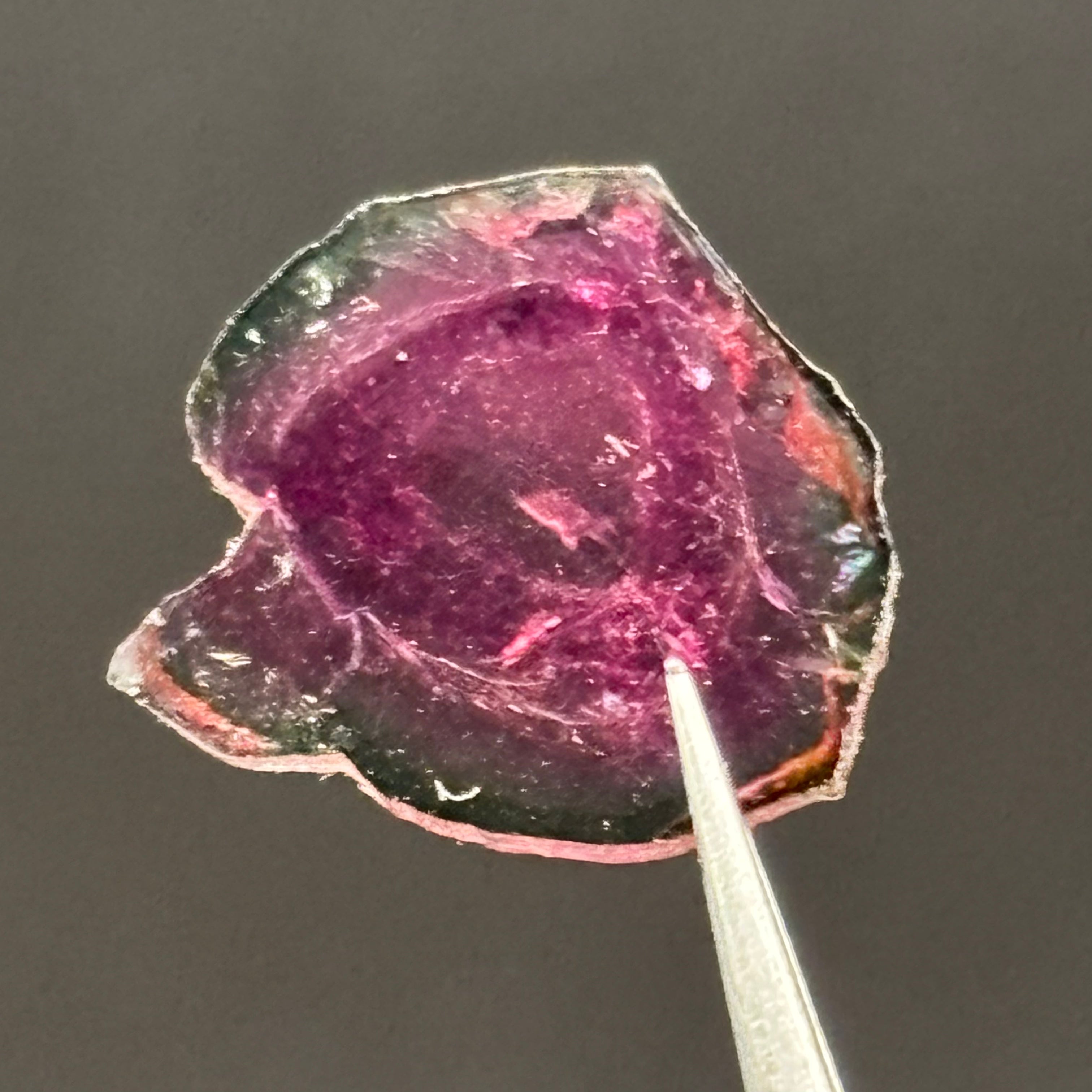 Watermelon Tourmaline Cross-Section - 153