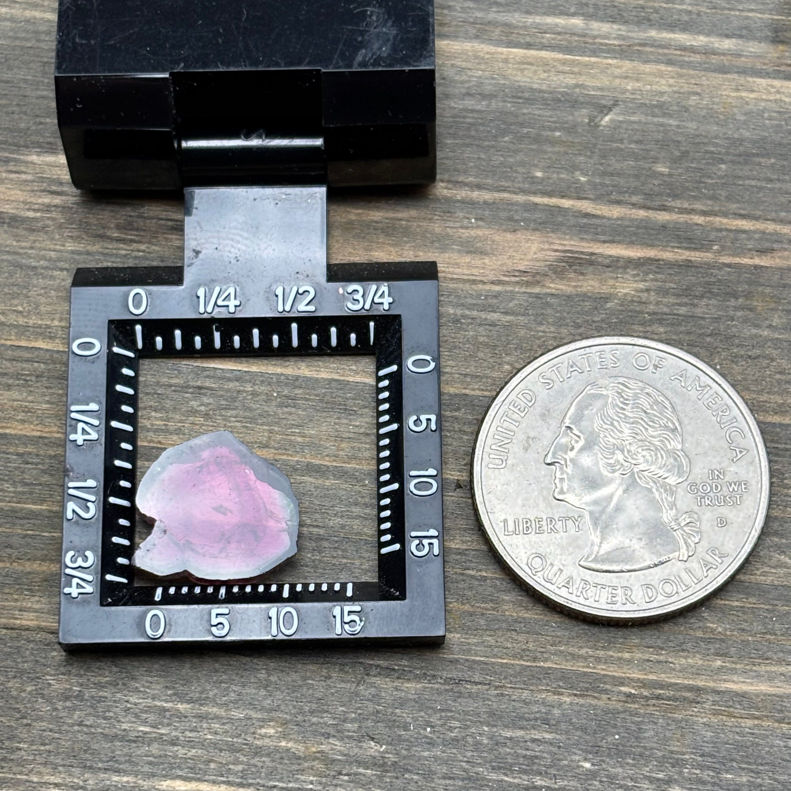 Watermelon Tourmaline Cross-Section - 153