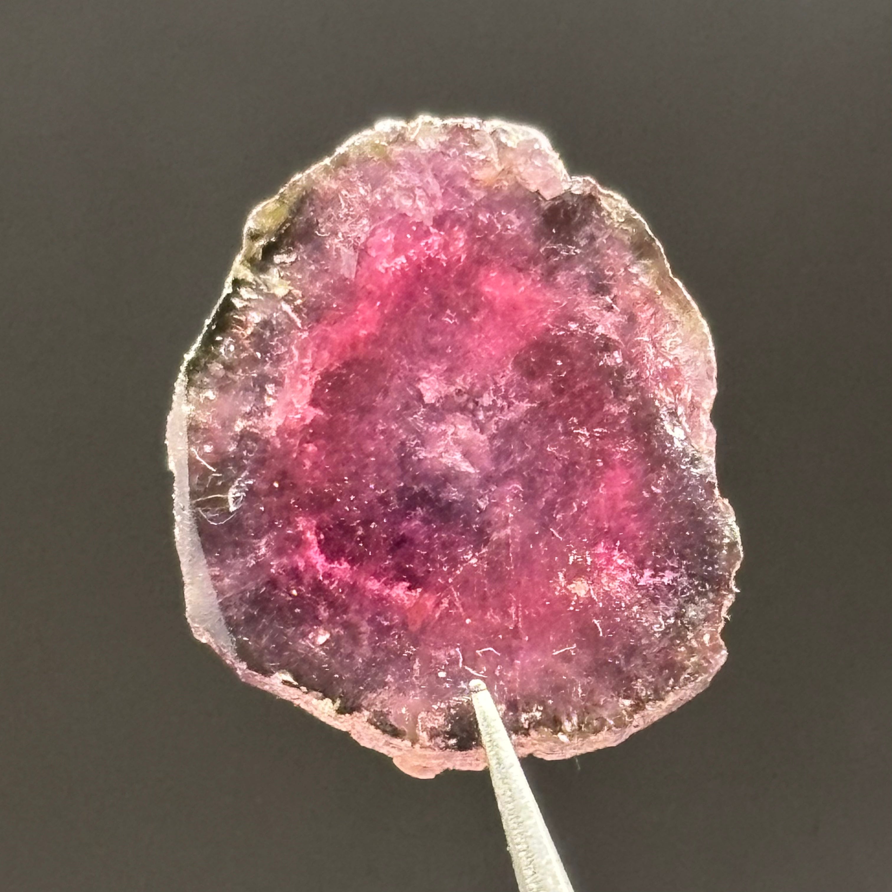 Watermelon Tourmaline Cross-Section - 154
