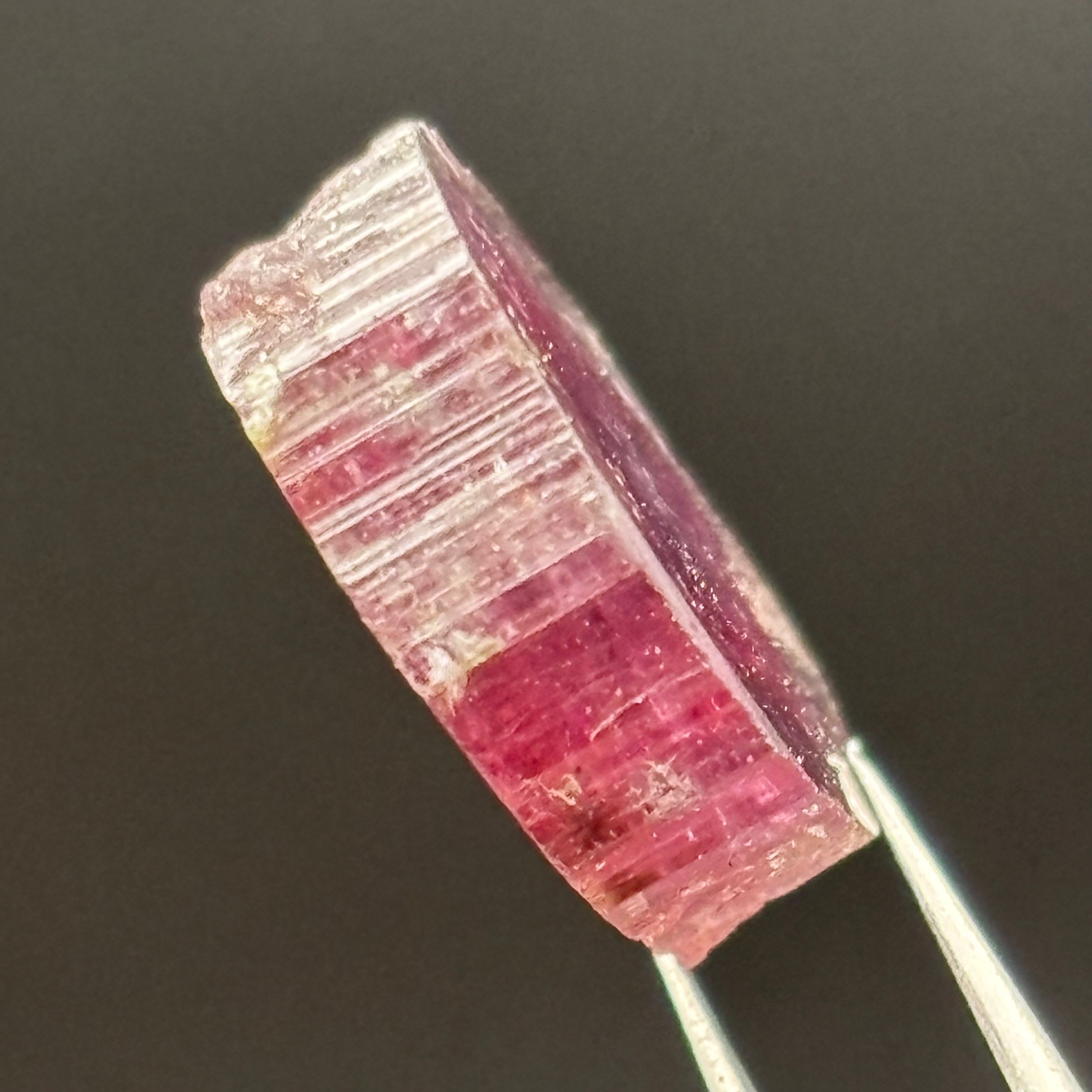 Watermelon Tourmaline Cross-Section - 154