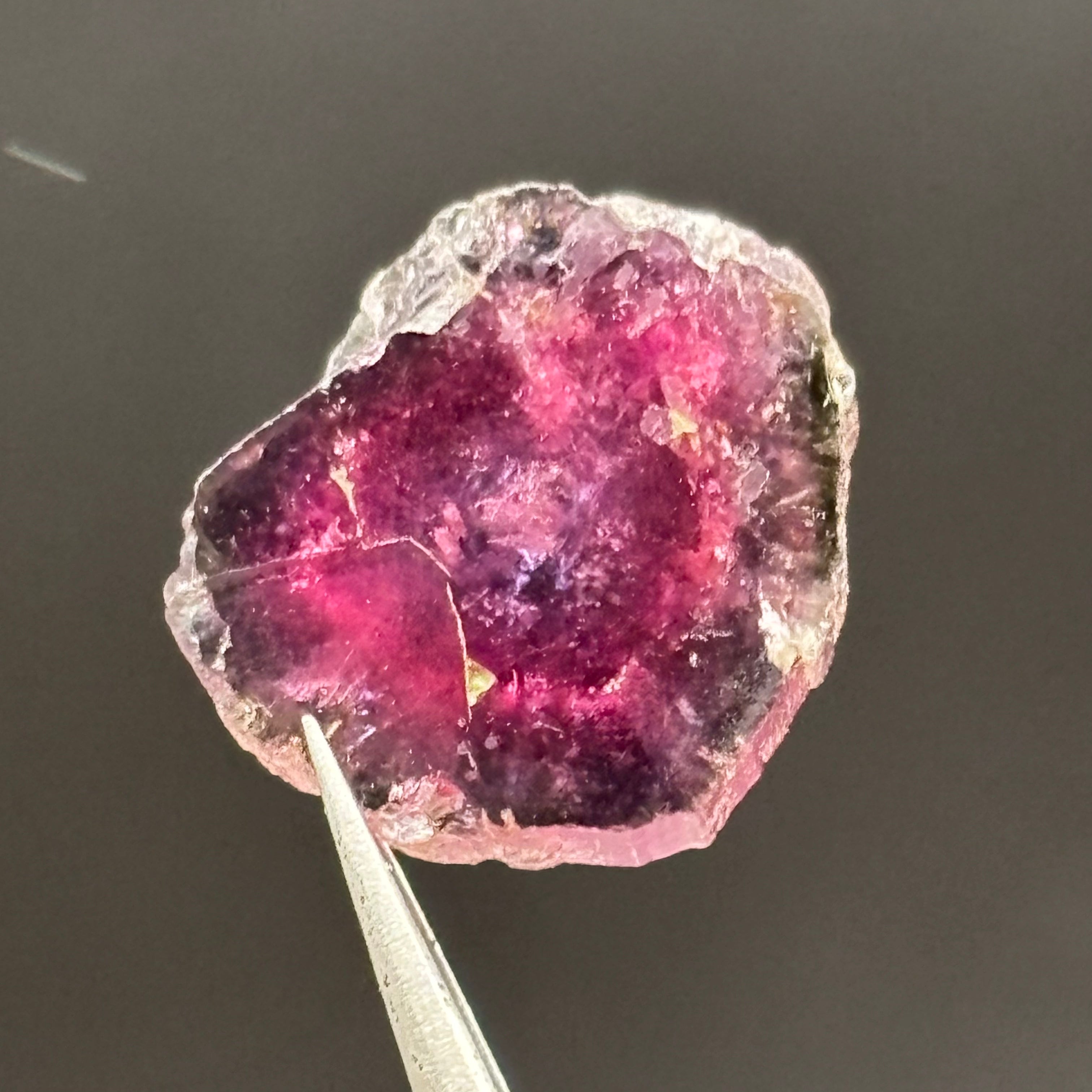 Watermelon Tourmaline Cross-Section - 154