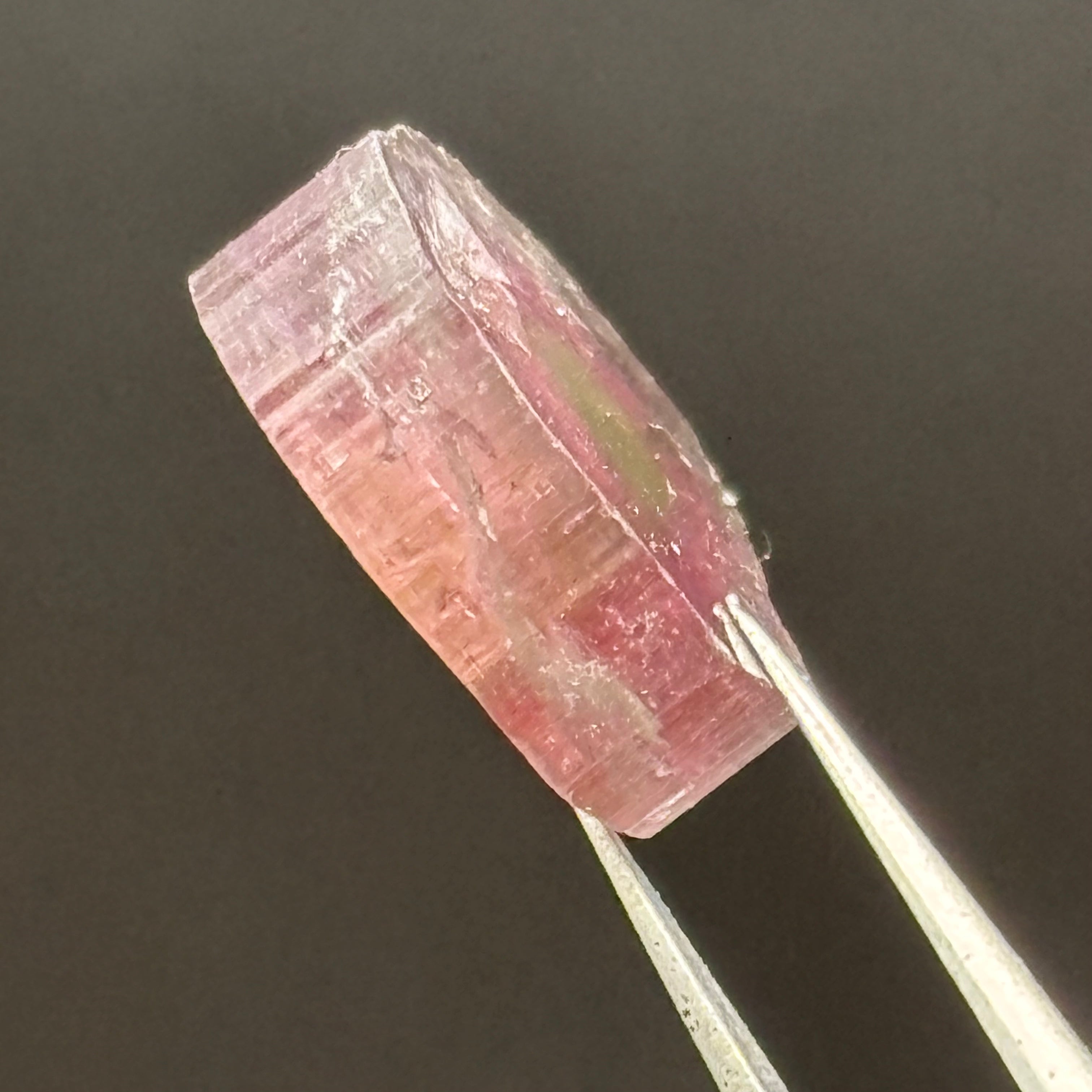 Watermelon Tourmaline Cross-Section - 155