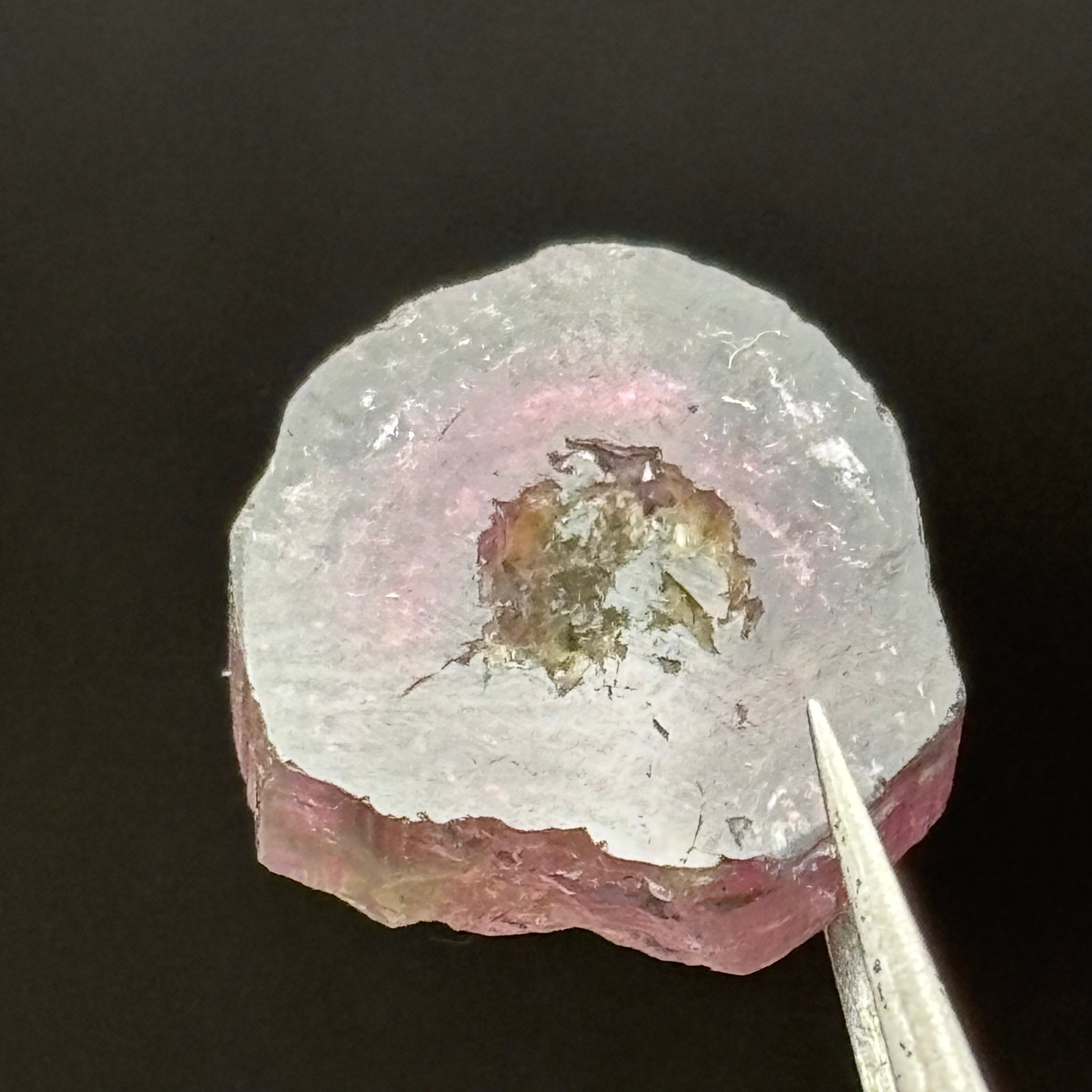 Watermelon Tourmaline Cross-Section - 155