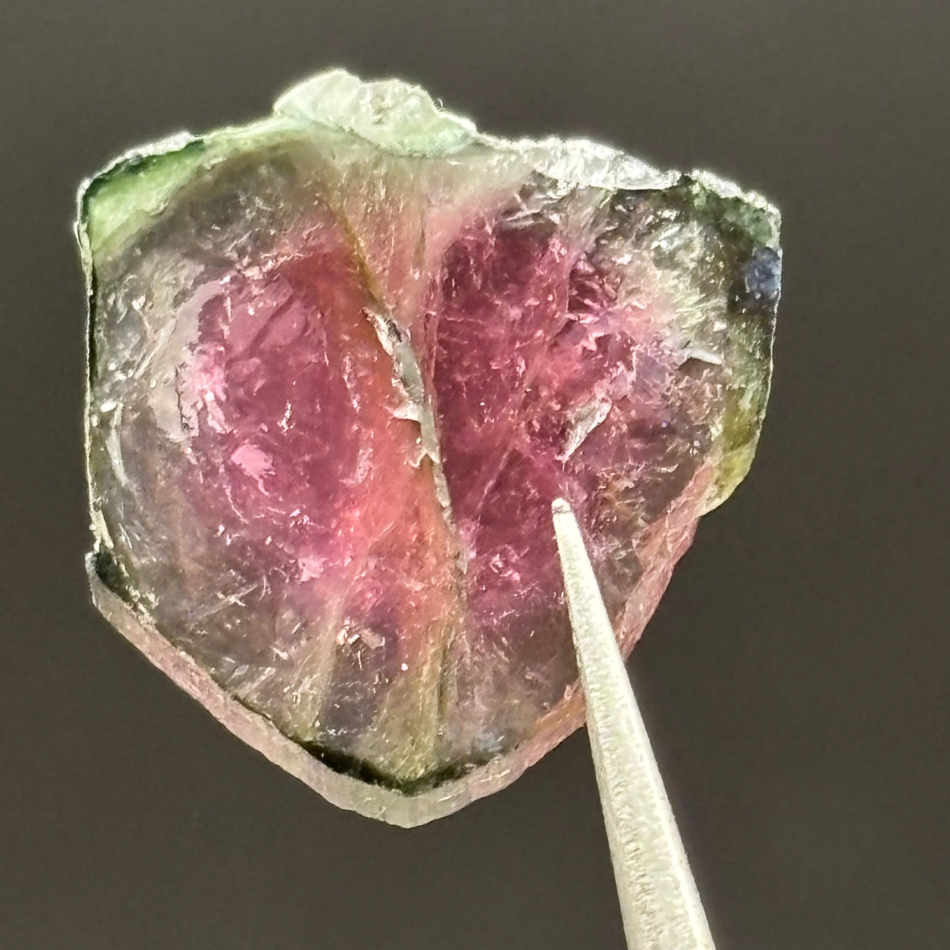Watermelon Tourmaline Cross-Section - 156