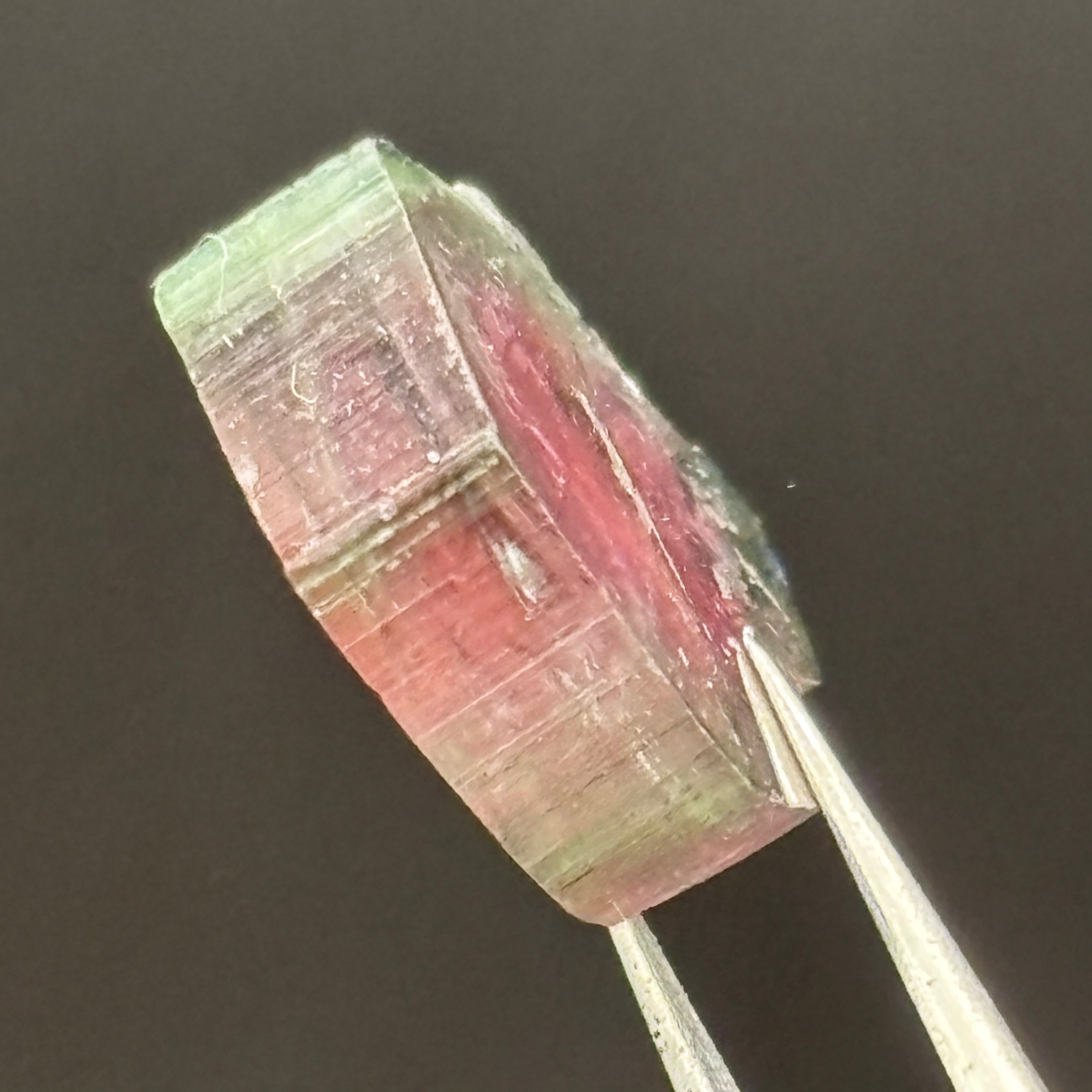 Watermelon Tourmaline Cross-Section - 156