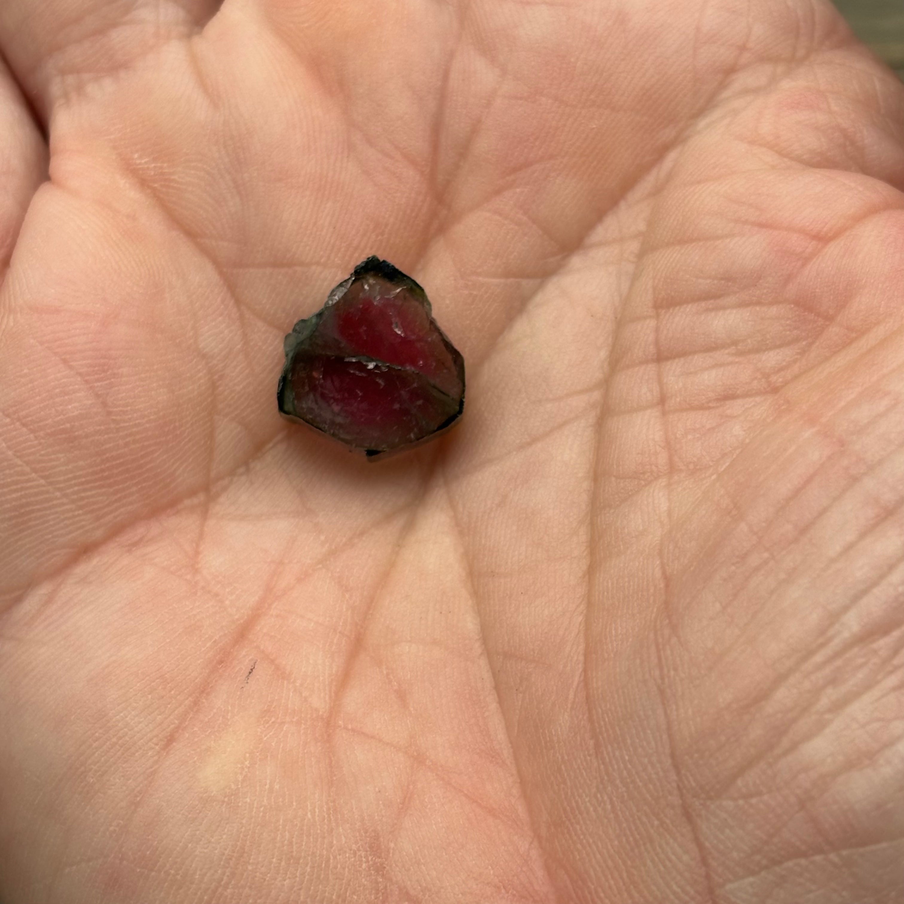 Watermelon Tourmaline Cross-Section - 156