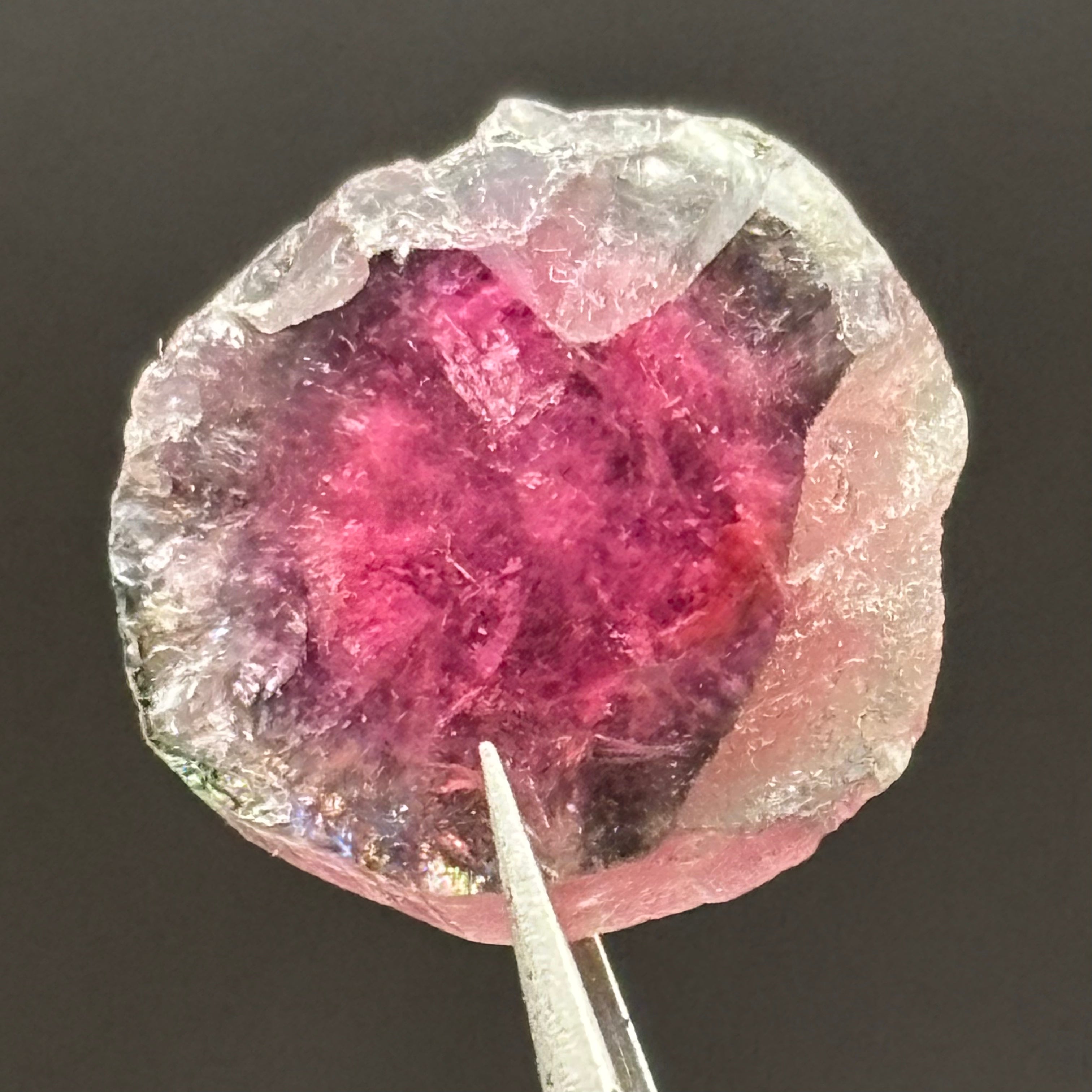 Watermelon Tourmaline Cross-Section - 157