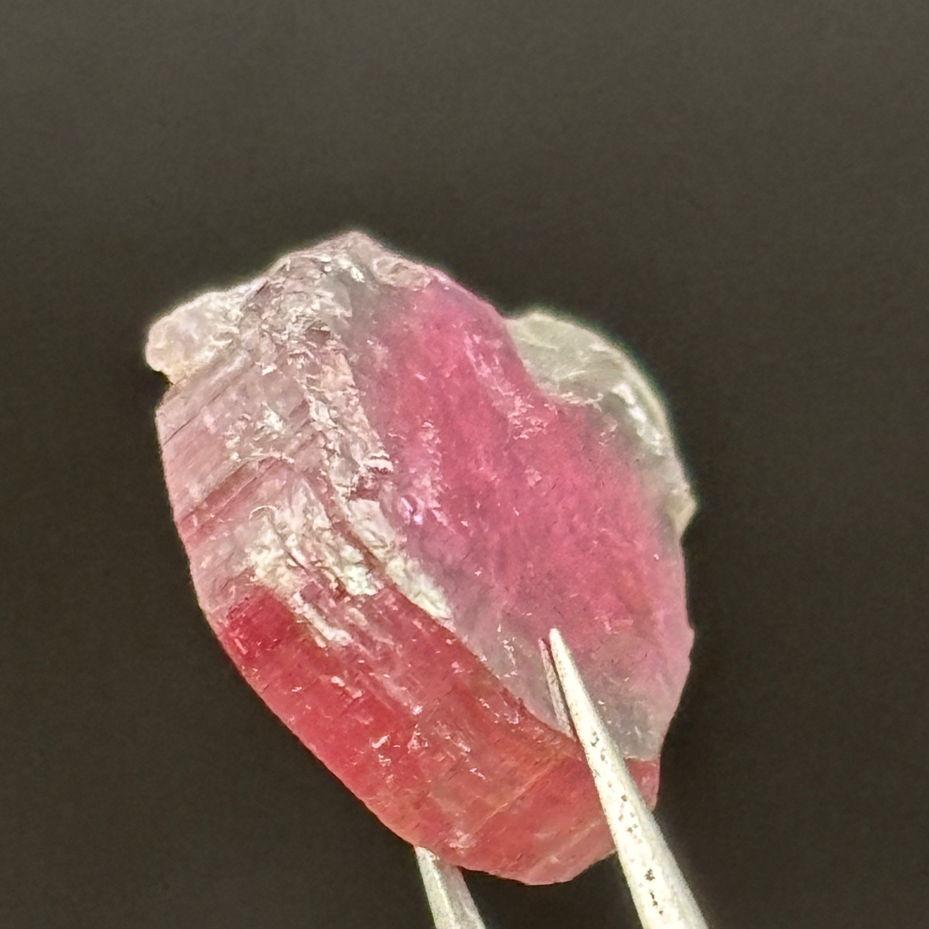 Watermelon Tourmaline Cross-Section - 157