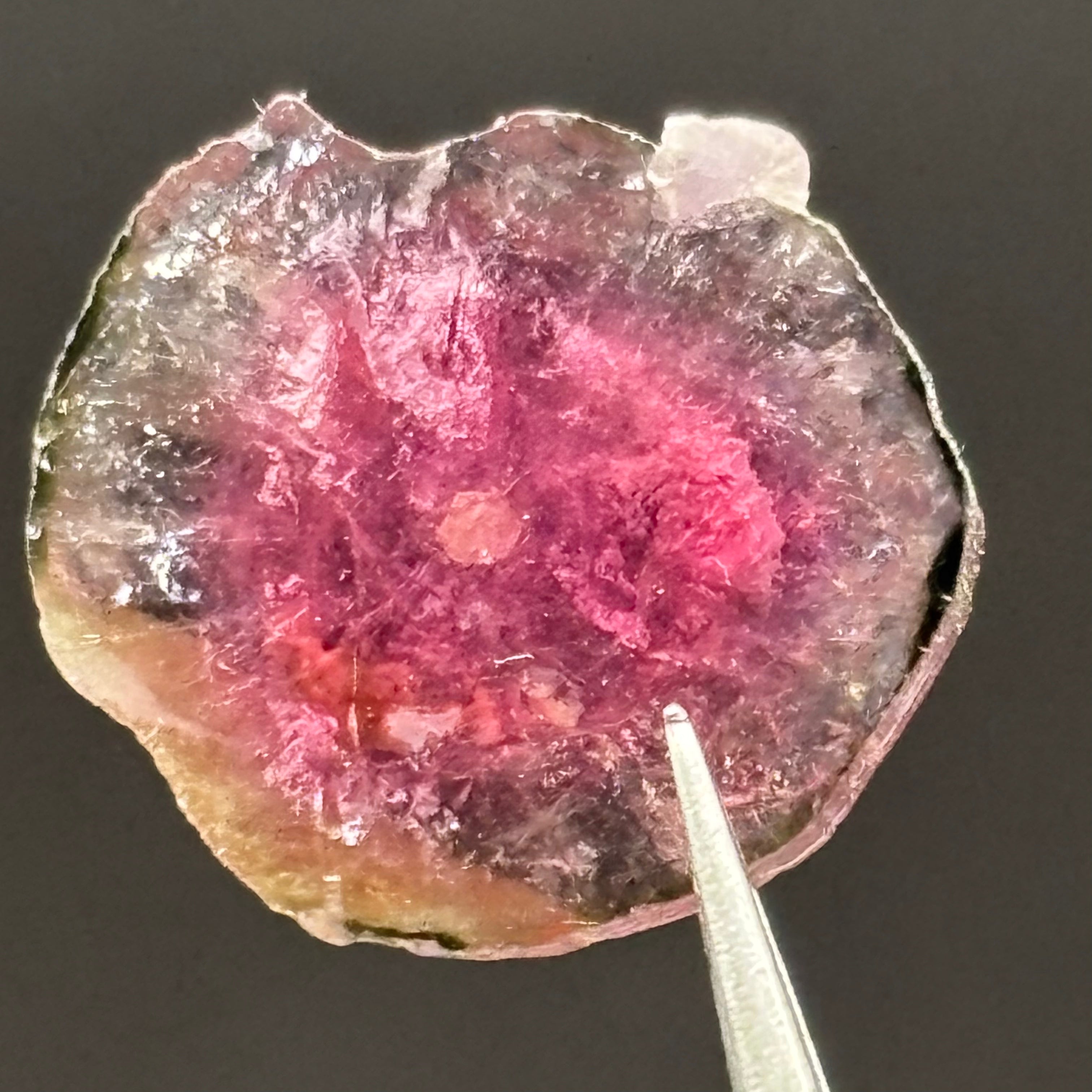 Watermelon Tourmaline Cross-Section - 157