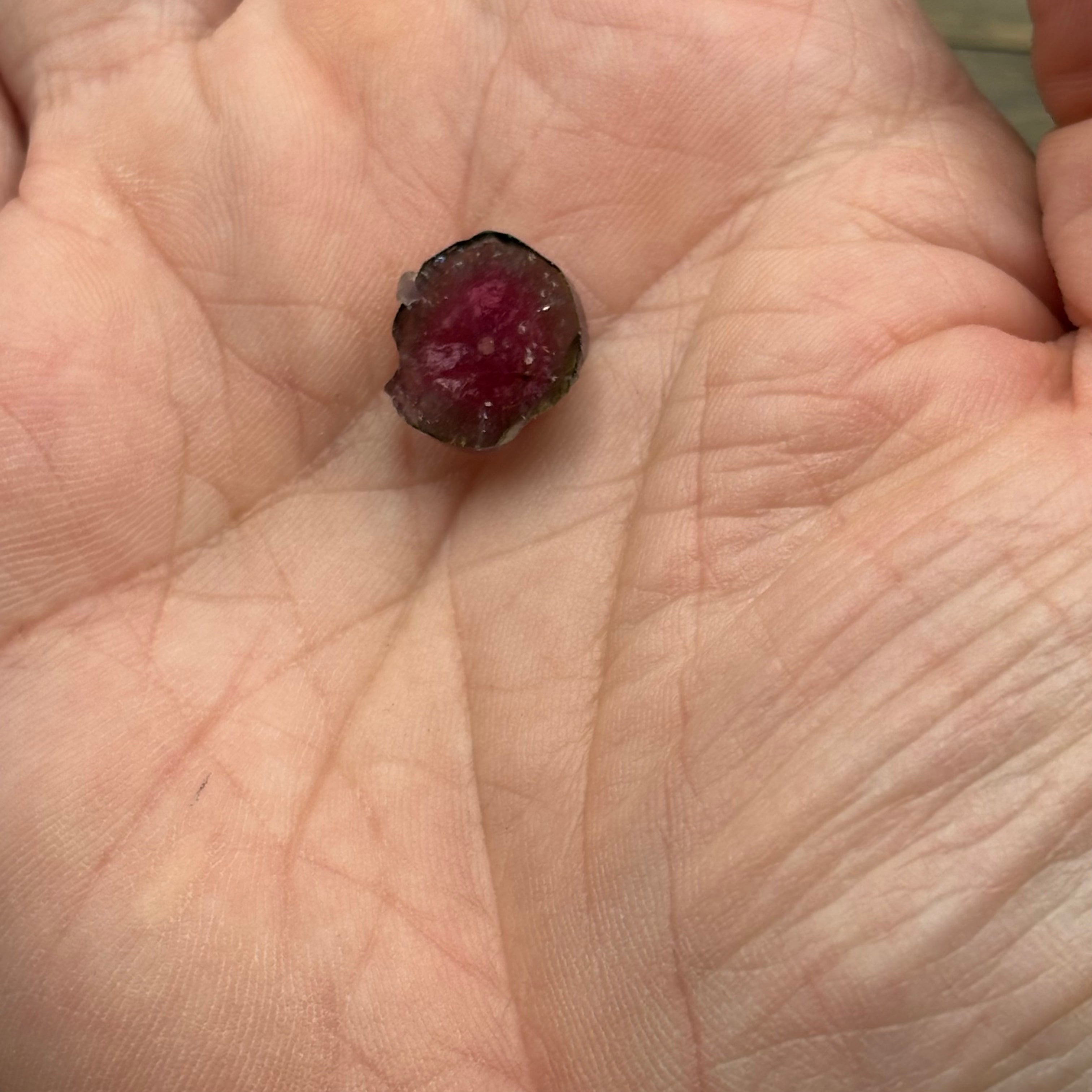 Watermelon Tourmaline Cross-Section - 157