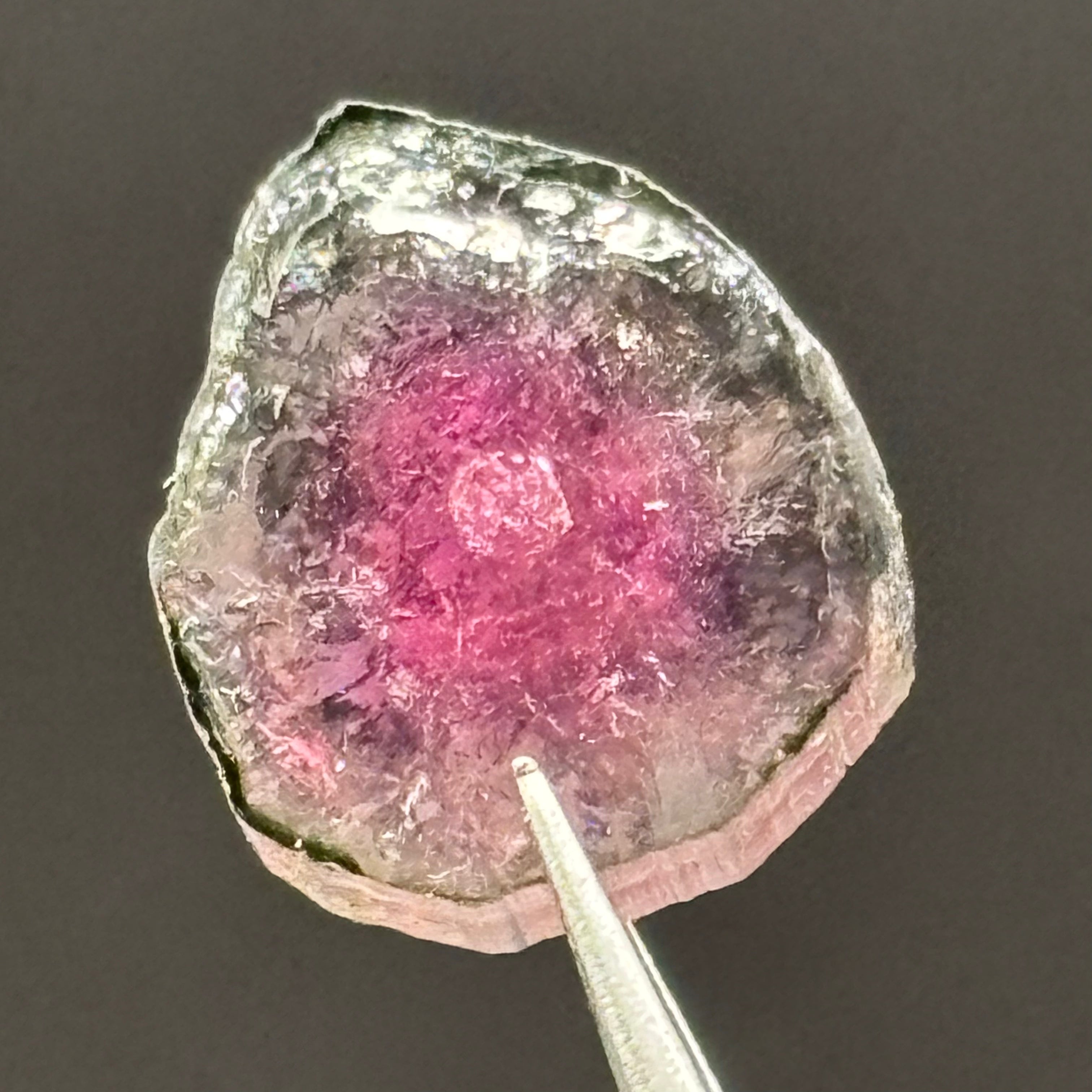 Watermelon Tourmaline Cross-Section - 158
