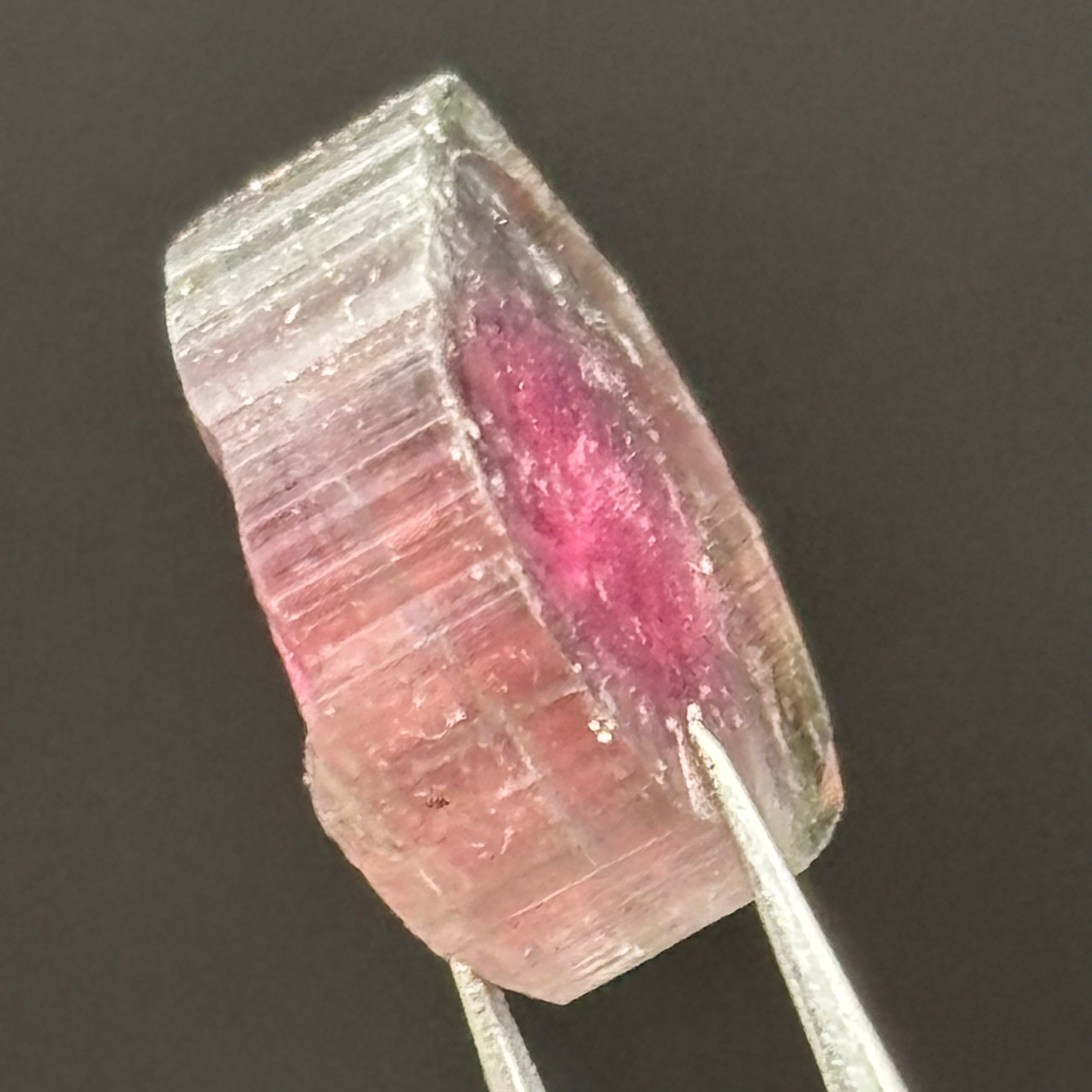 Watermelon Tourmaline Cross-Section - 158