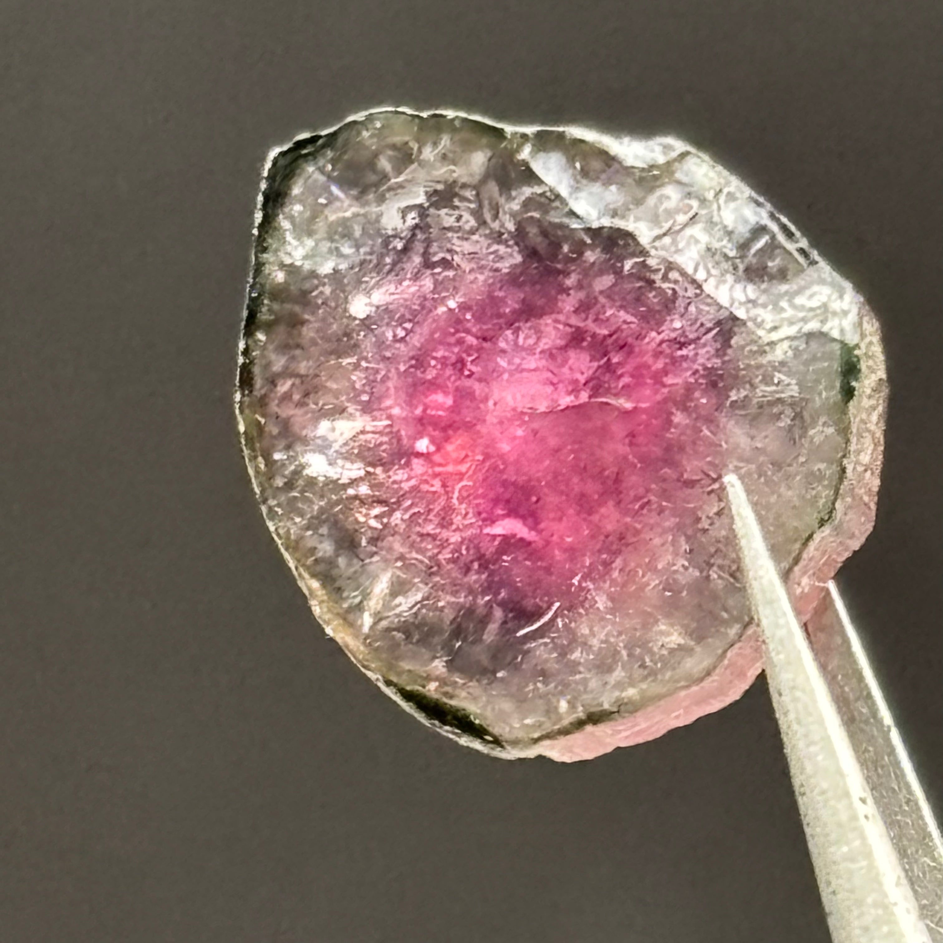 Watermelon Tourmaline Cross-Section - 158