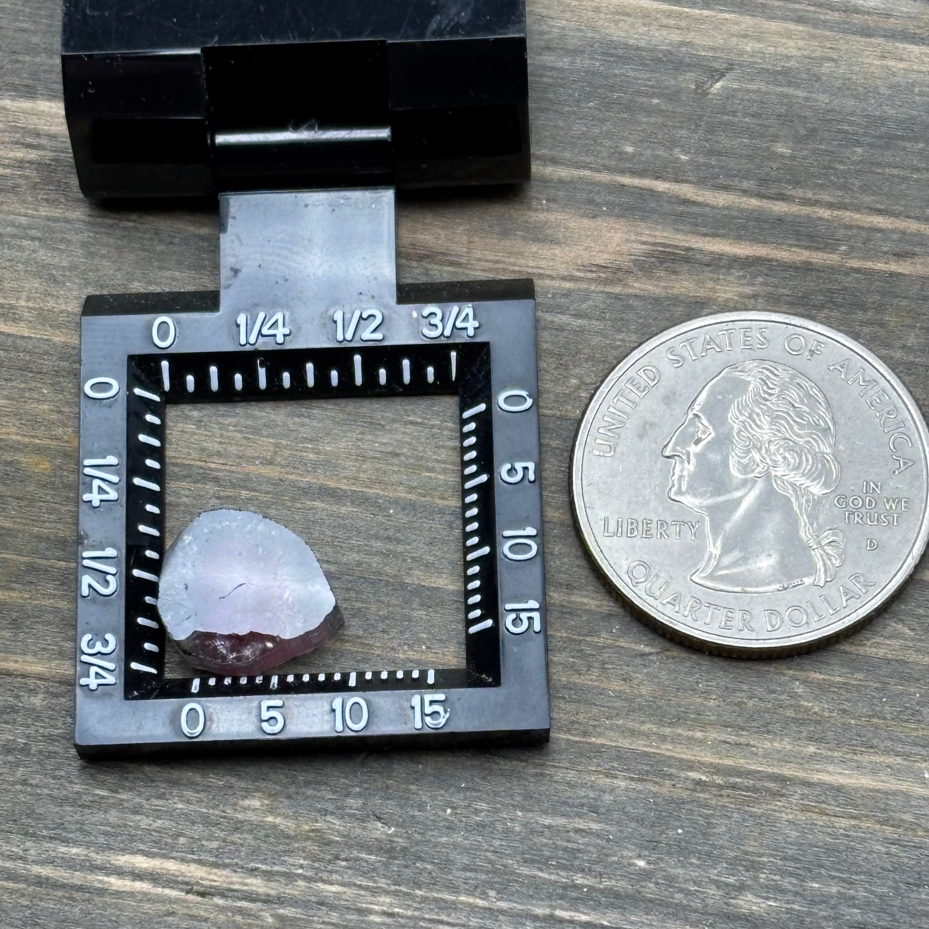 Watermelon Tourmaline Cross-Section - 158