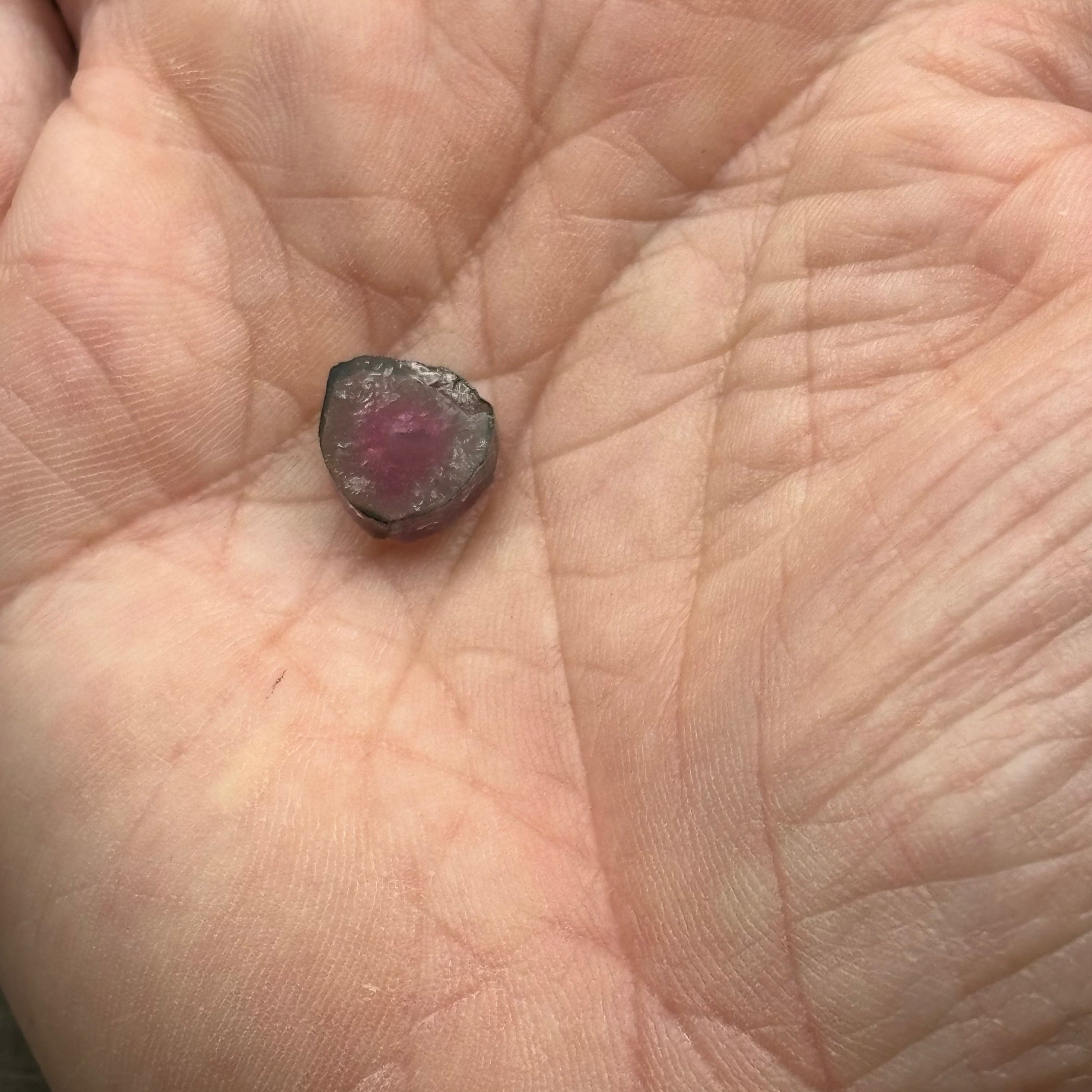 Watermelon Tourmaline Cross-Section - 158