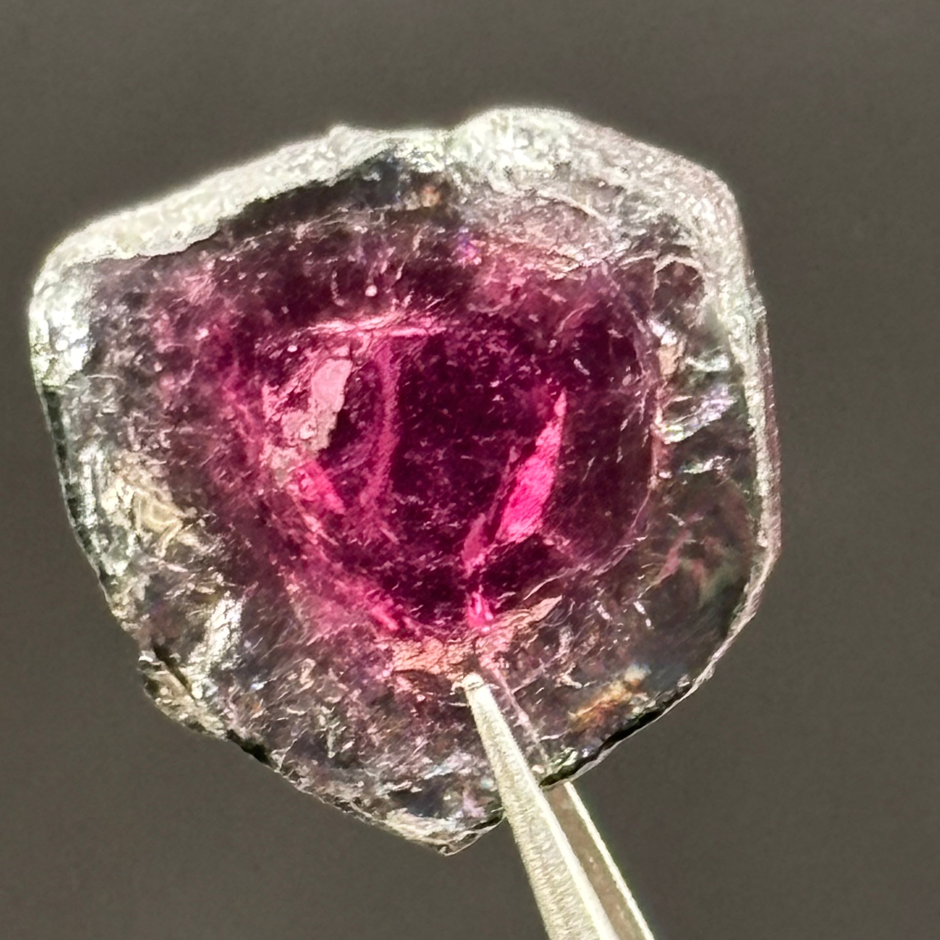 Watermelon Tourmaline Cross-Section - 159