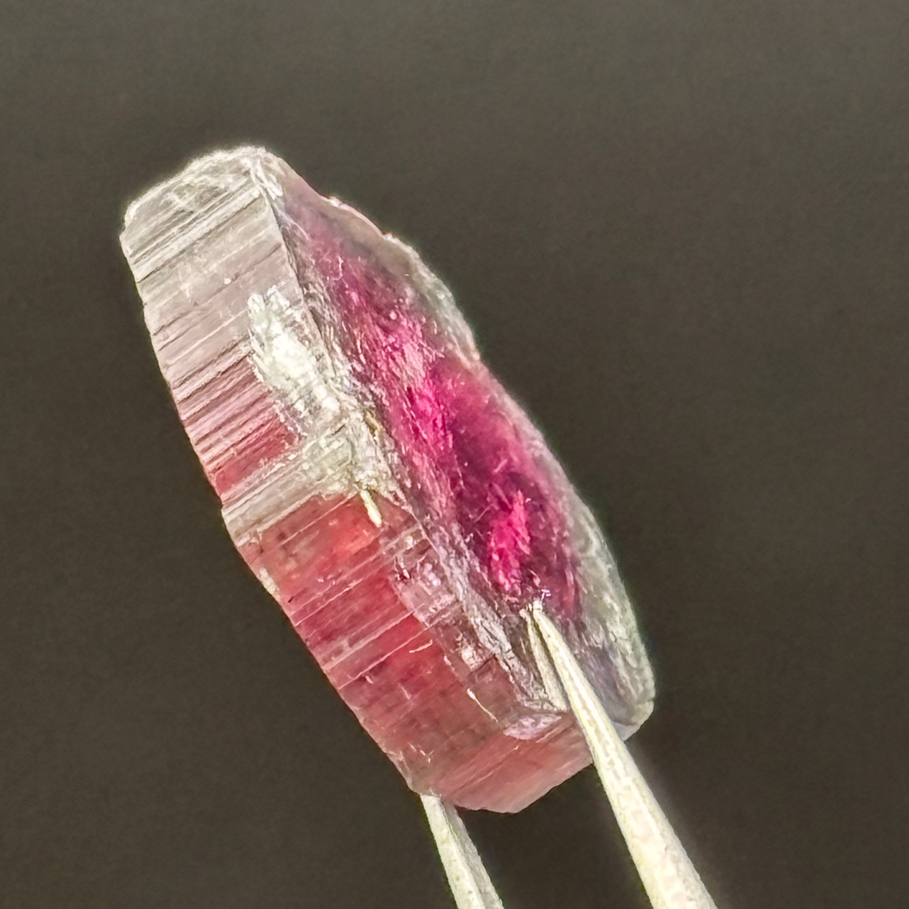 Watermelon Tourmaline Cross-Section - 159
