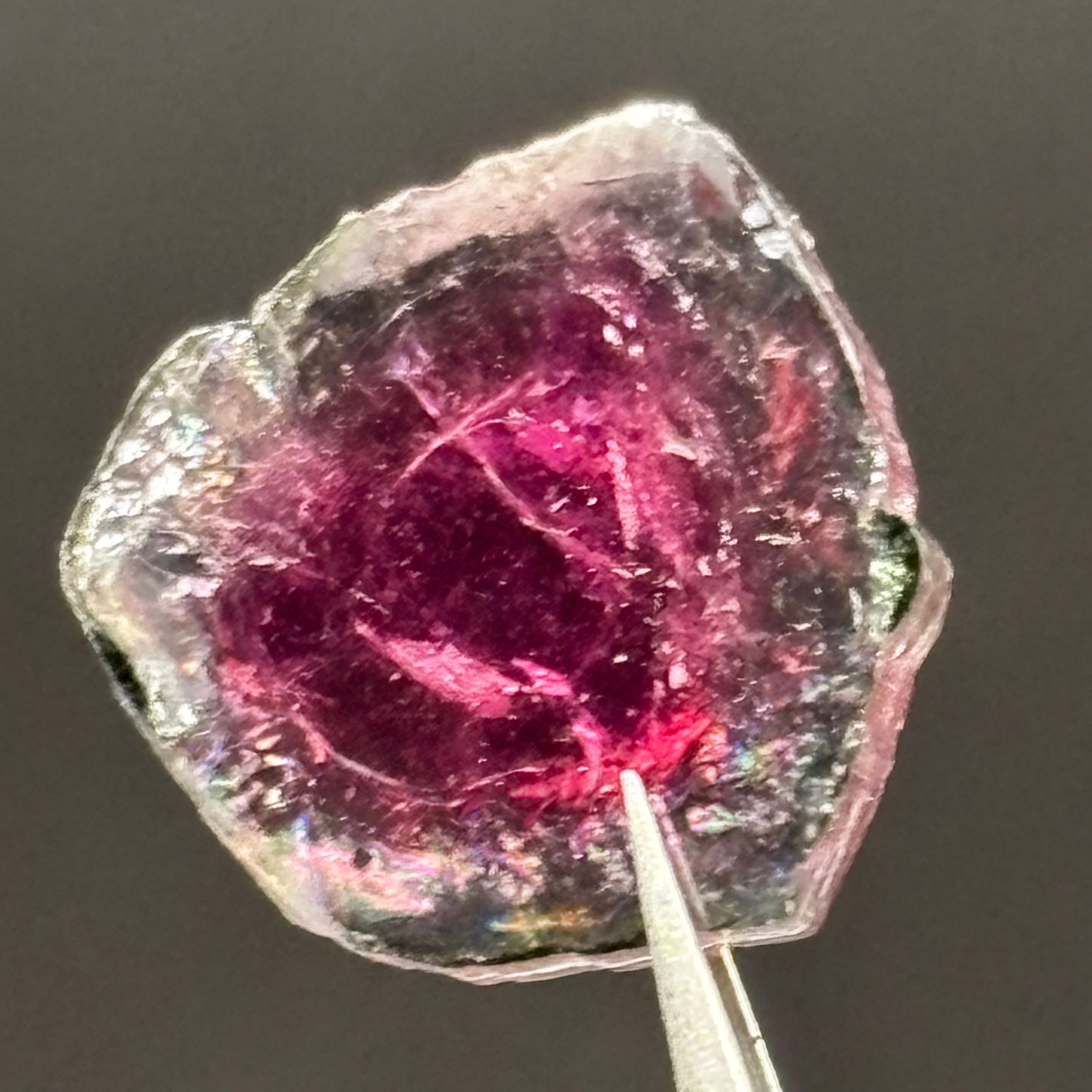 Watermelon Tourmaline Cross-Section - 159
