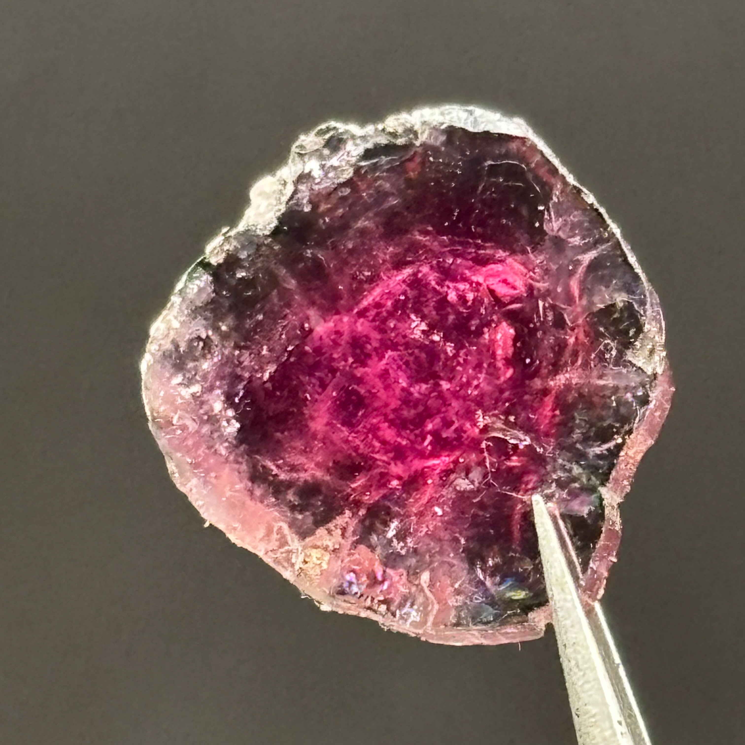 Watermelon Tourmaline Cross-Section - 160