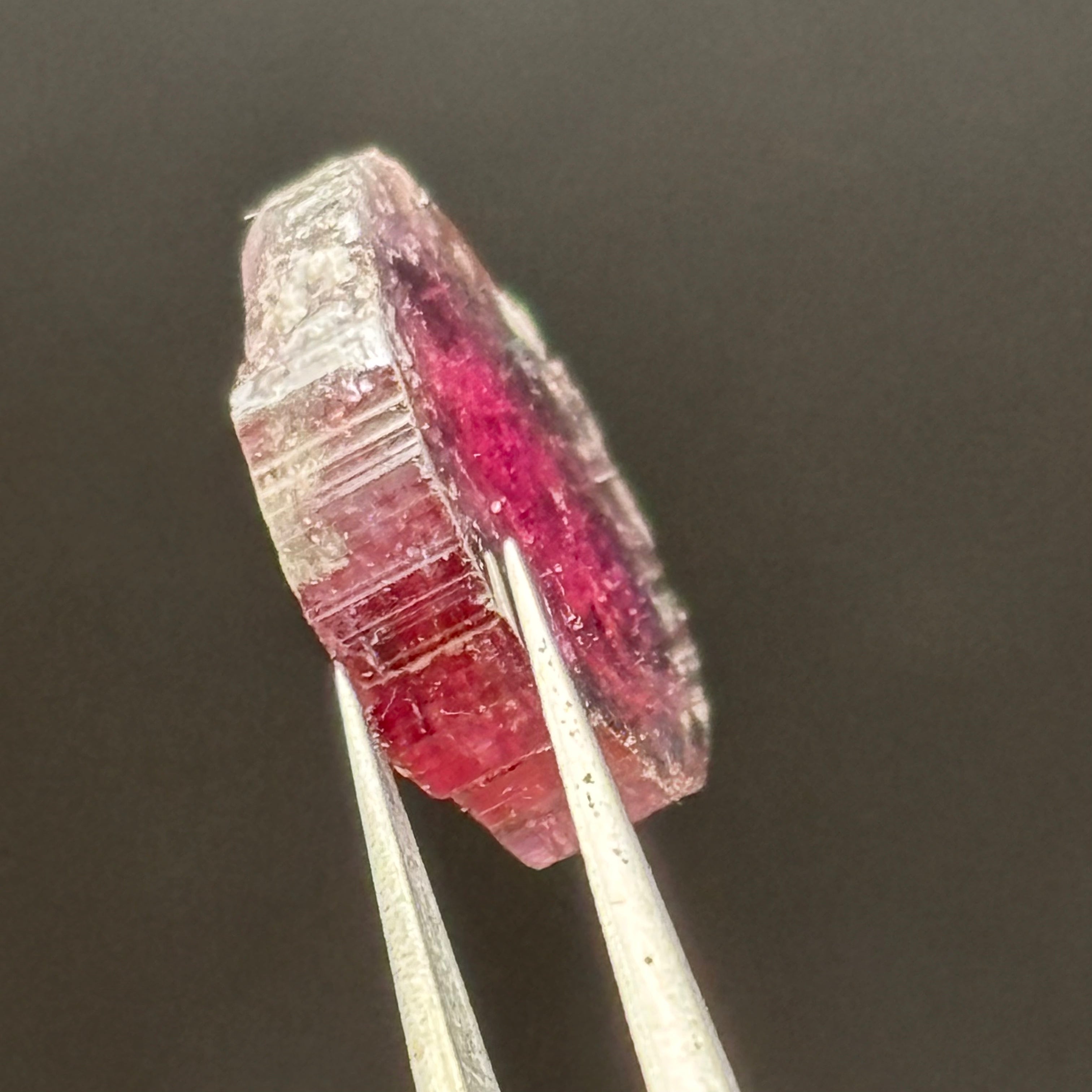 Watermelon Tourmaline Cross-Section - 160
