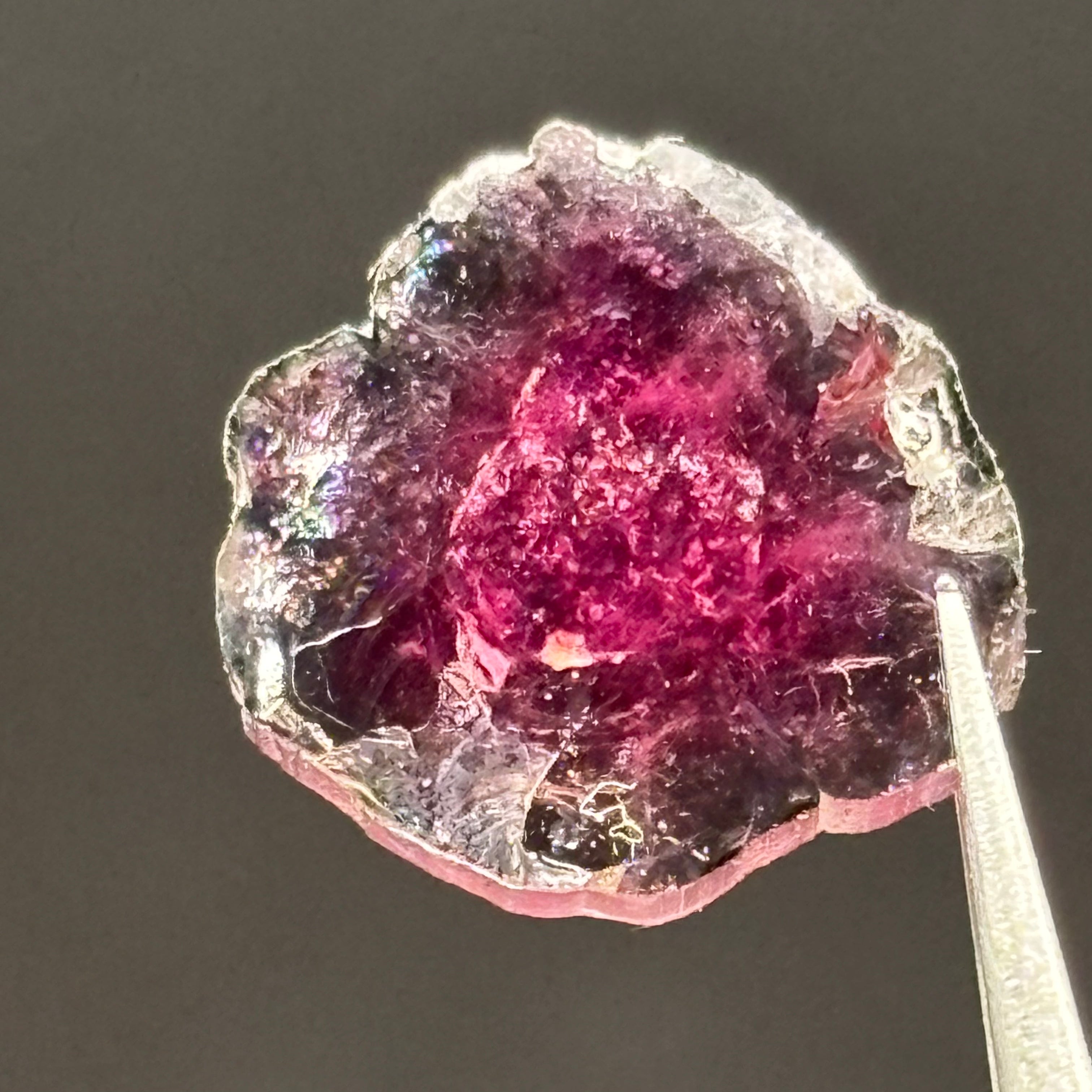 Watermelon Tourmaline Cross-Section - 160
