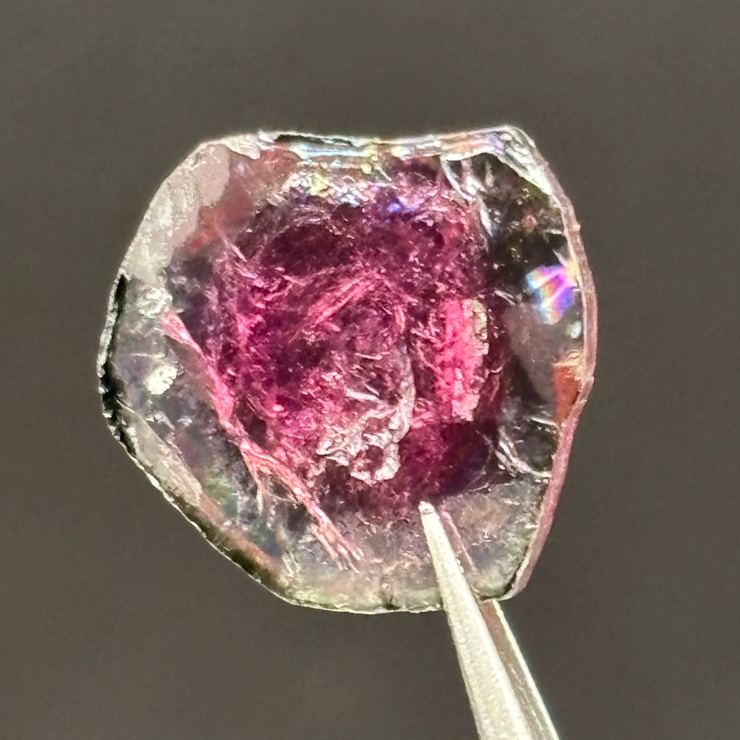 Watermelon Tourmaline Cross-Section - 161