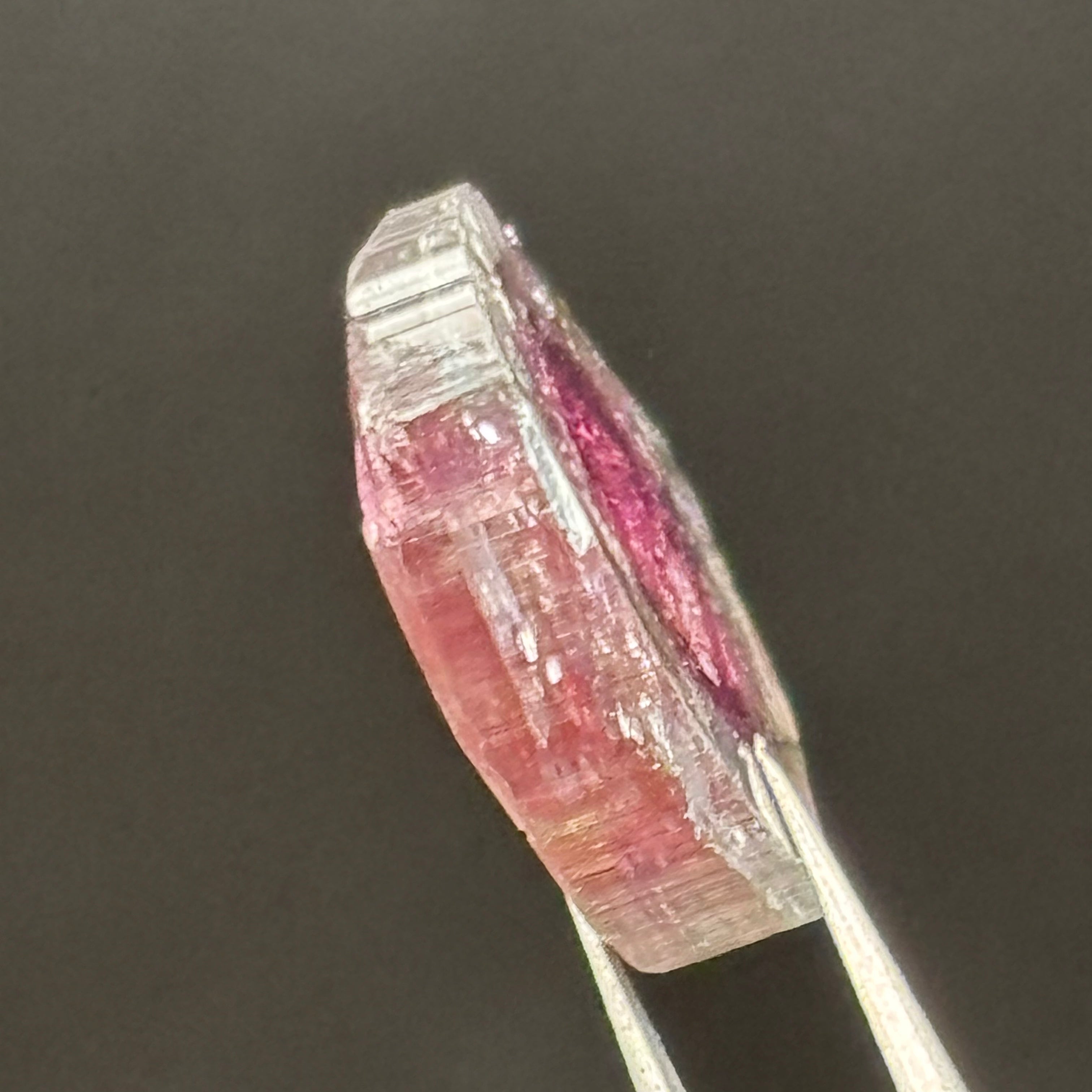 Watermelon Tourmaline Cross-Section - 161