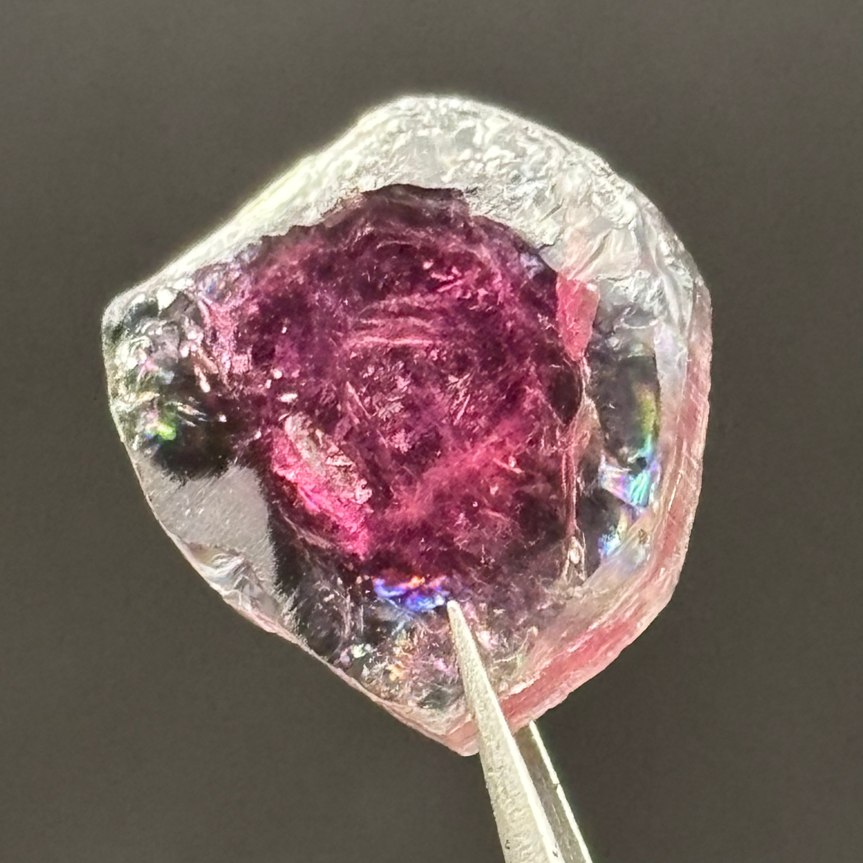 Watermelon Tourmaline Cross-Section - 161