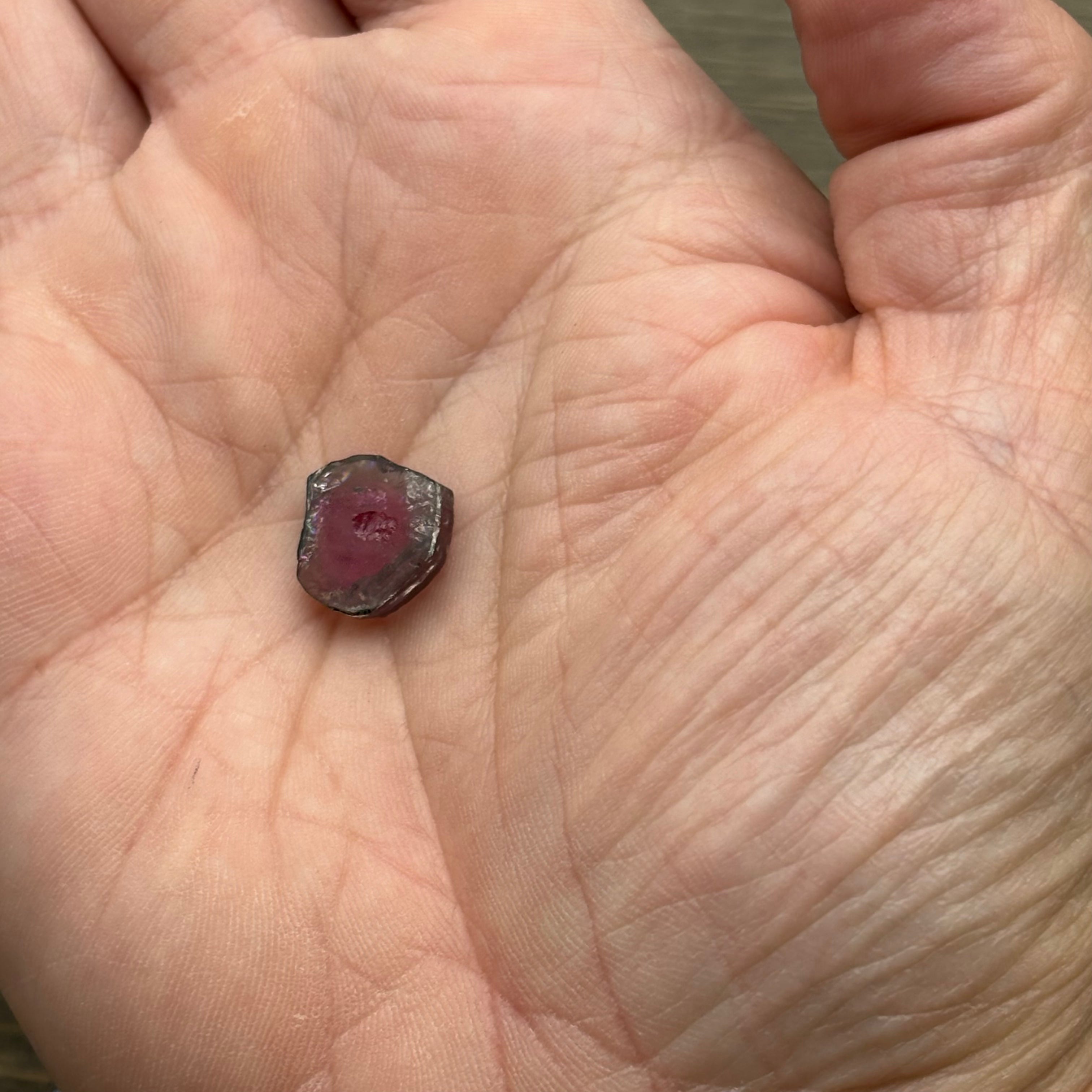 Watermelon Tourmaline Cross-Section - 161