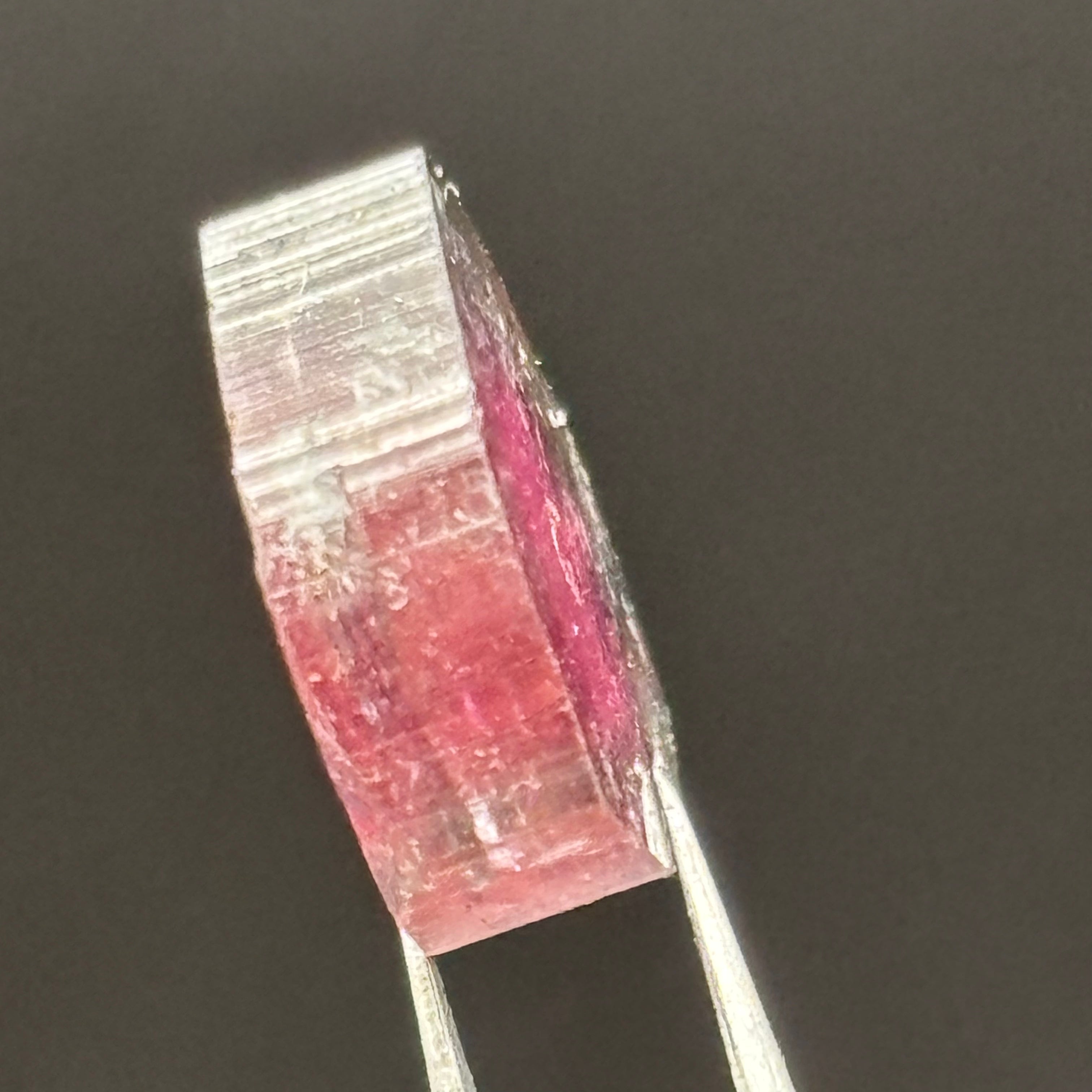 Watermelon Tourmaline Cross-Section- 162
