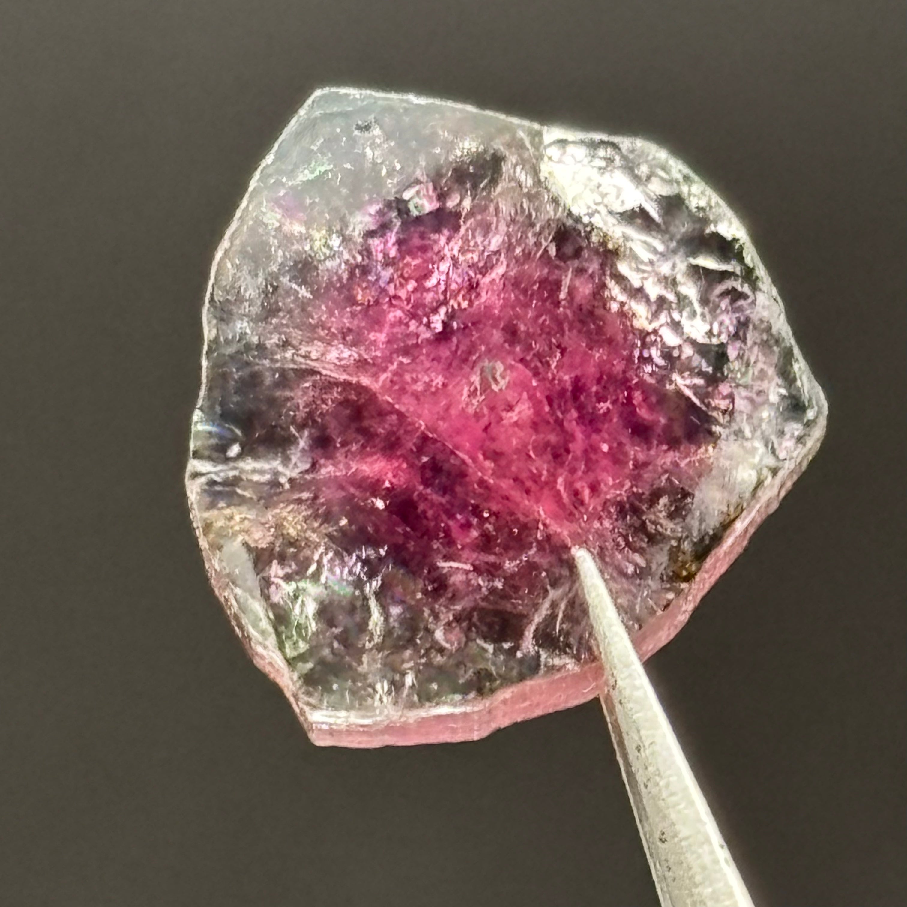 Watermelon Tourmaline Cross-Section- 162