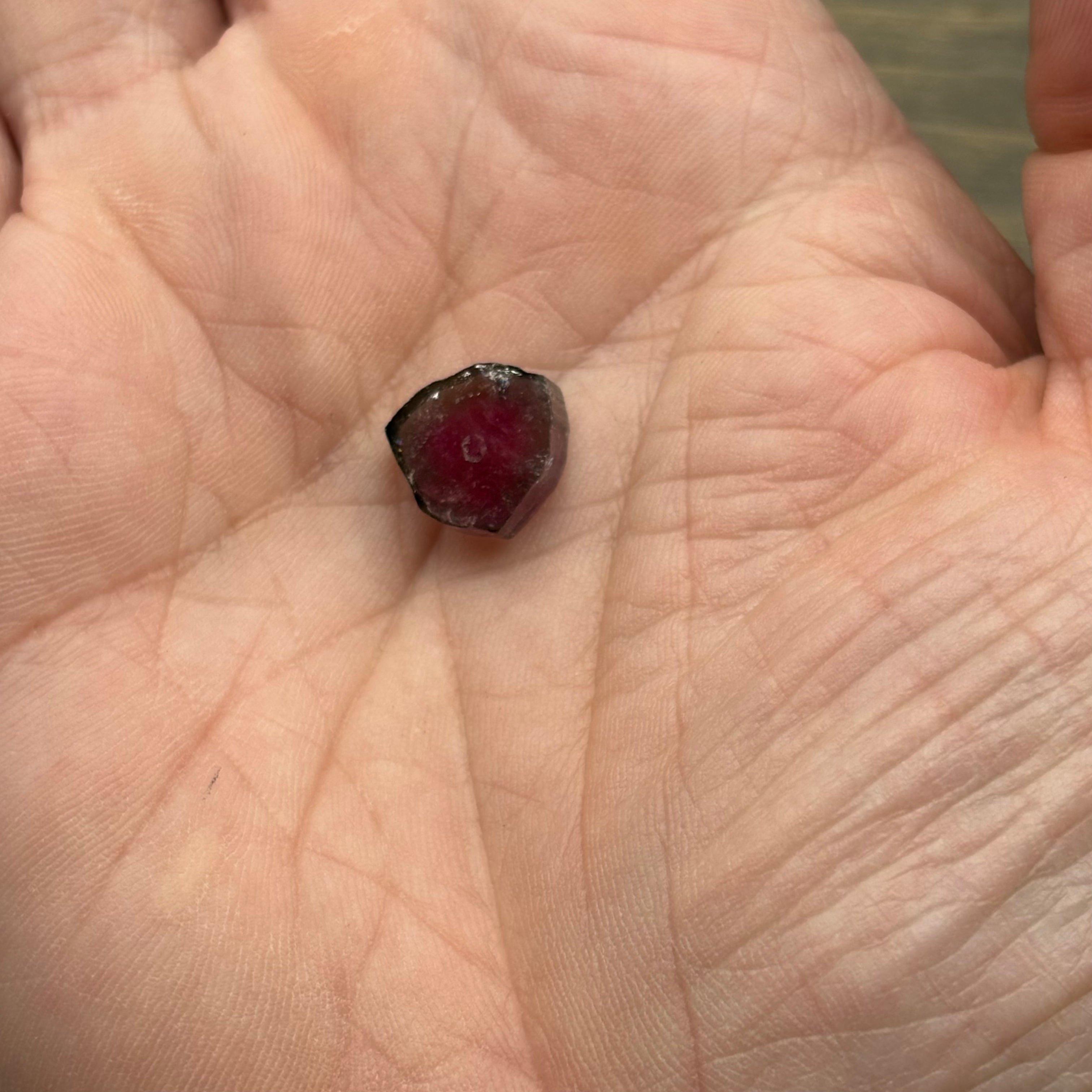 Watermelon Tourmaline Cross-Section- 162