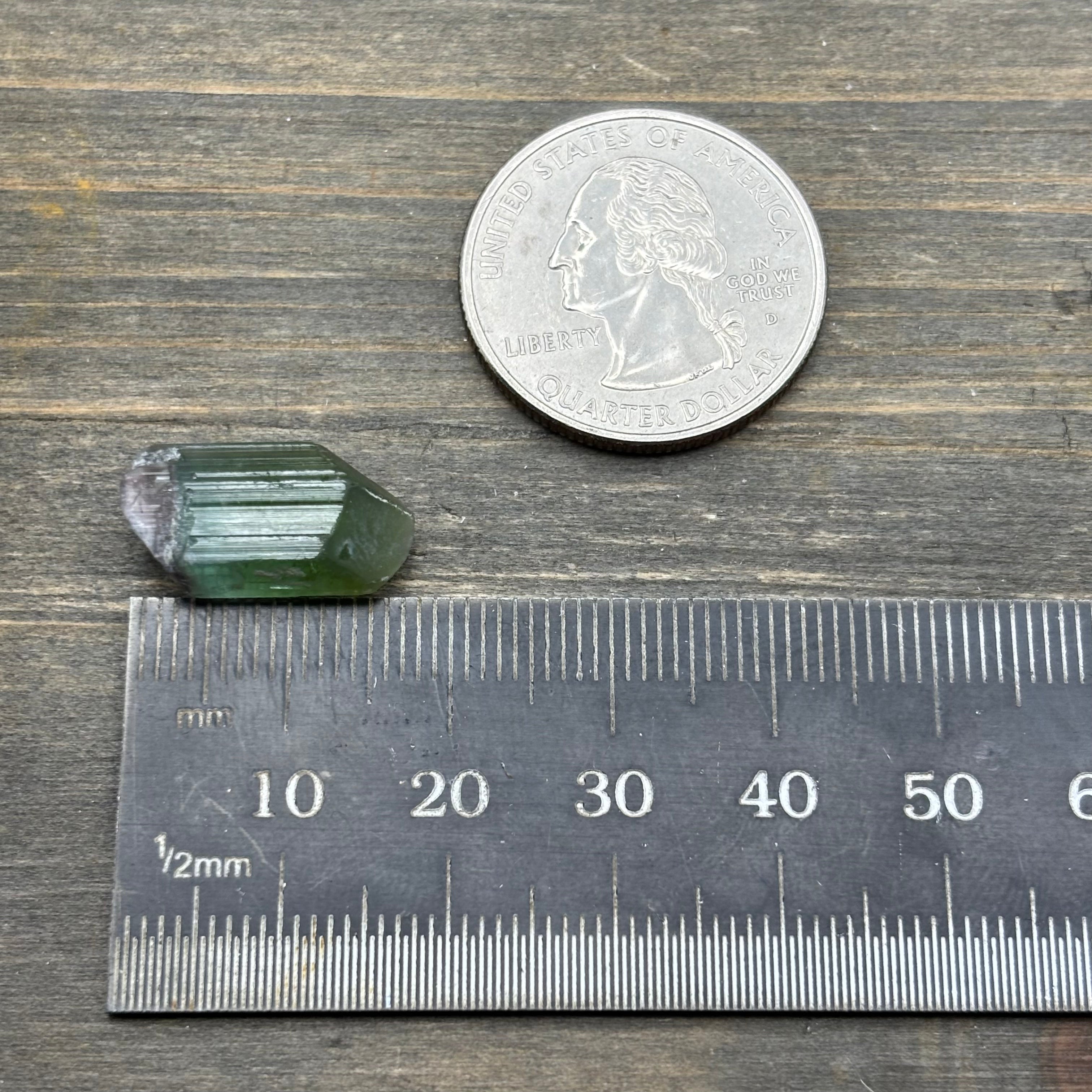 Green Tourmaline Crystal - 100