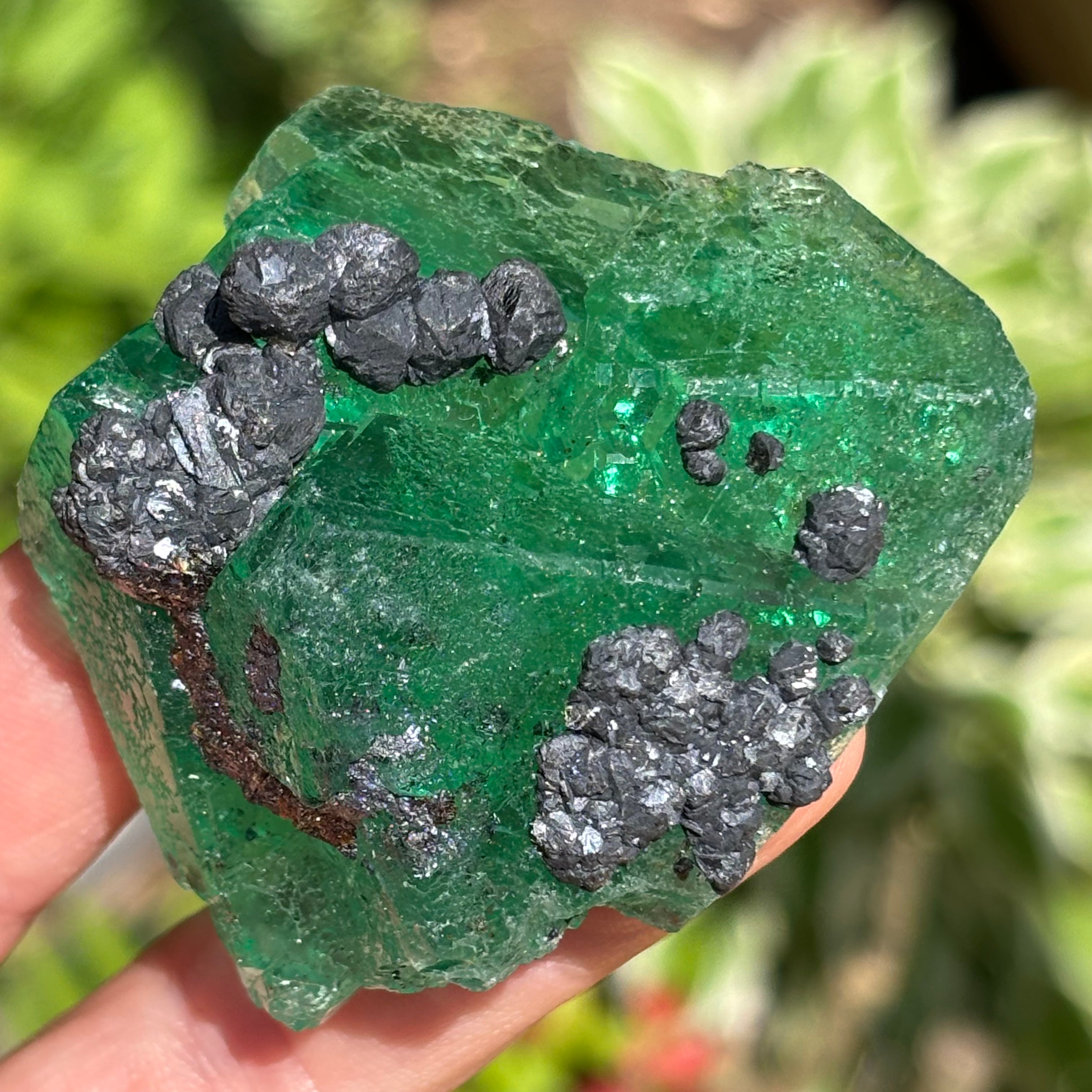 (EX) Supernatural Green Fluorite - 392