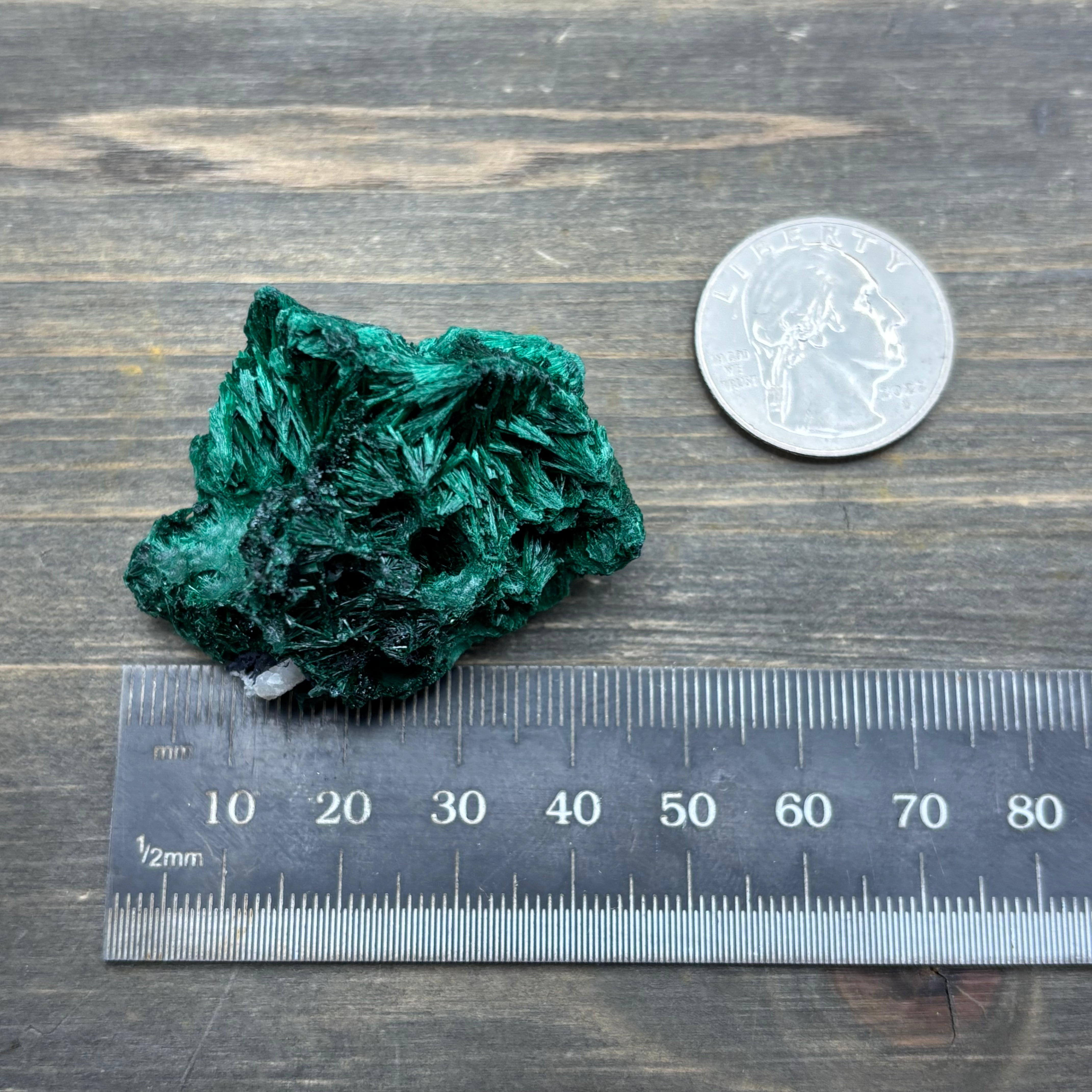 Emperor Malachite - 138
