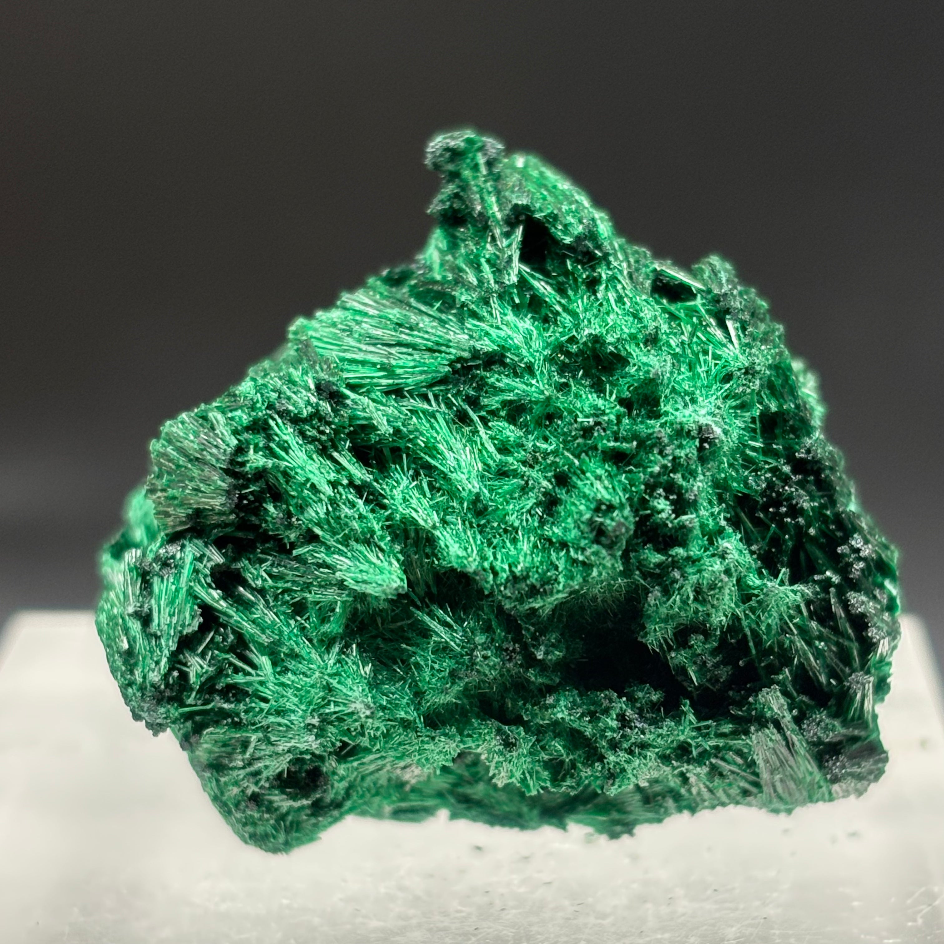 Emperor Malachite - 140