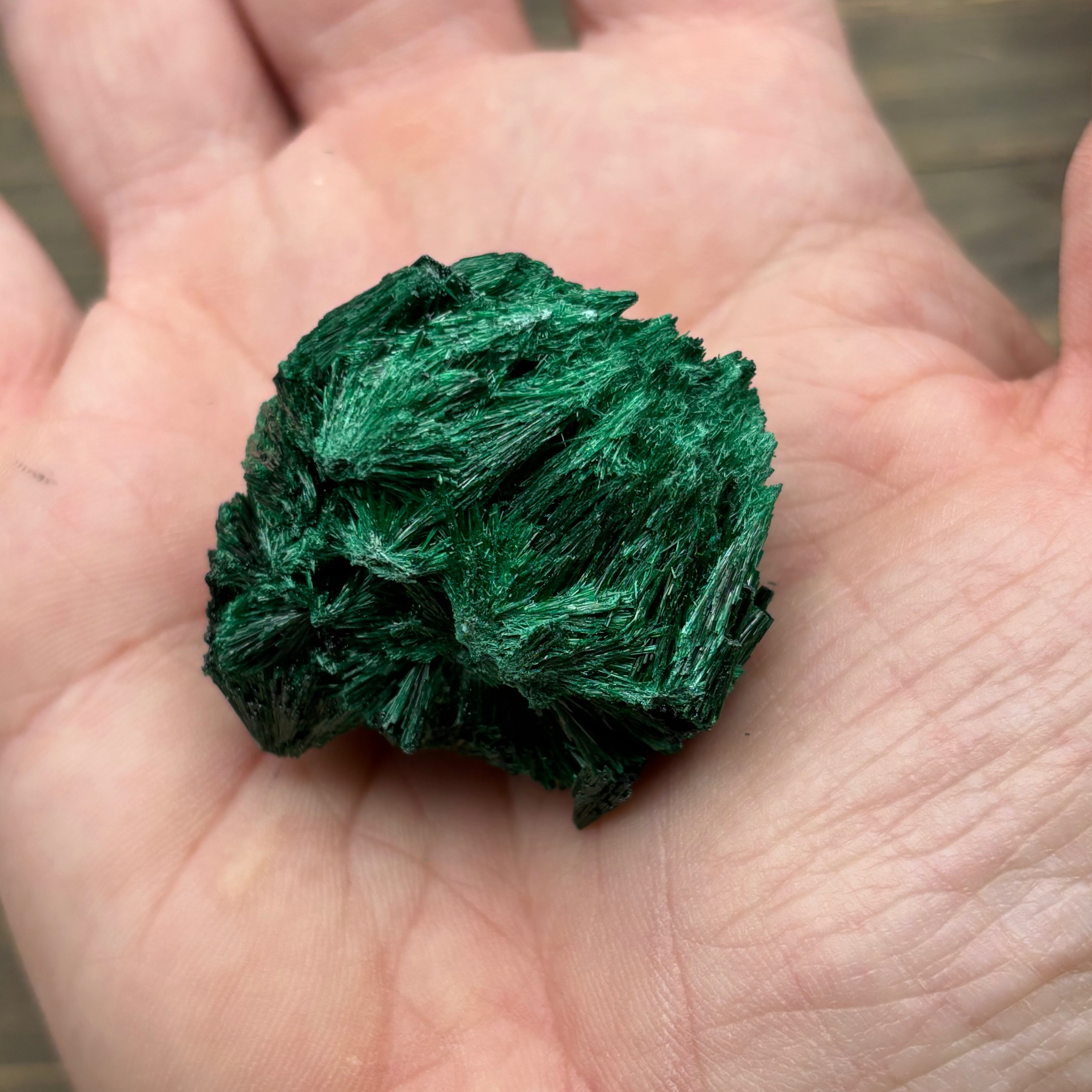 Emperor Malachite - 140