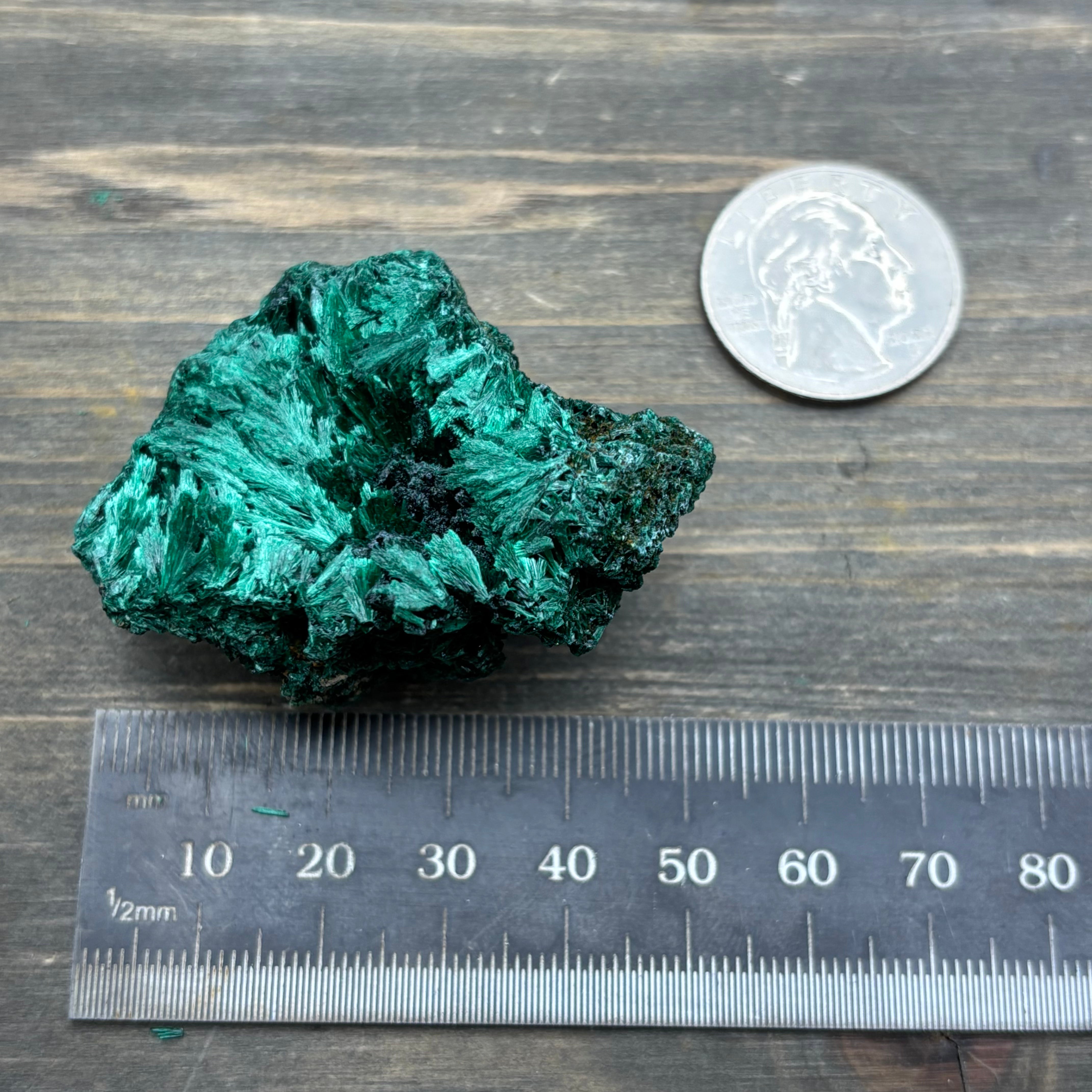 Emperor Malachite - 141