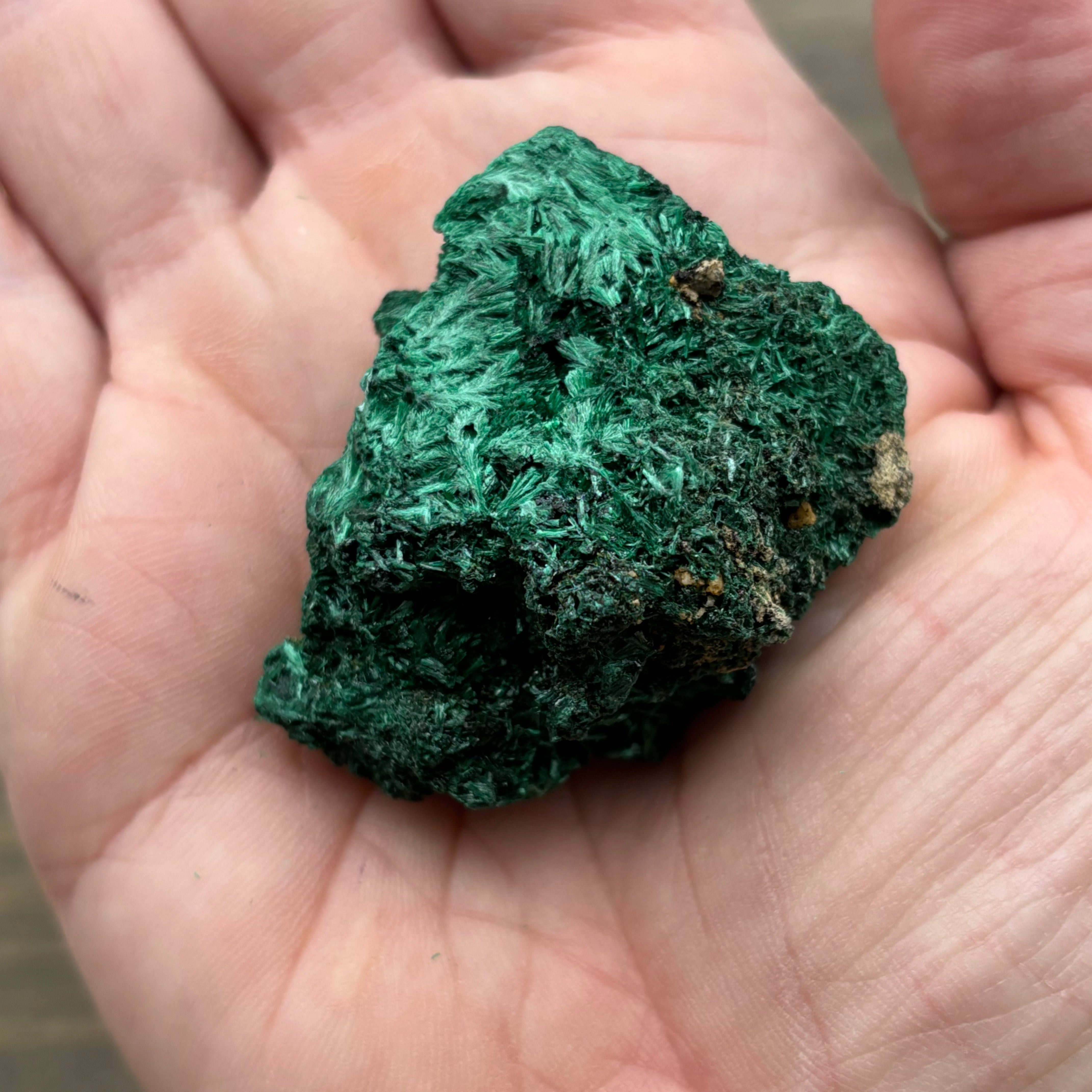 Emperor Malachite - 141