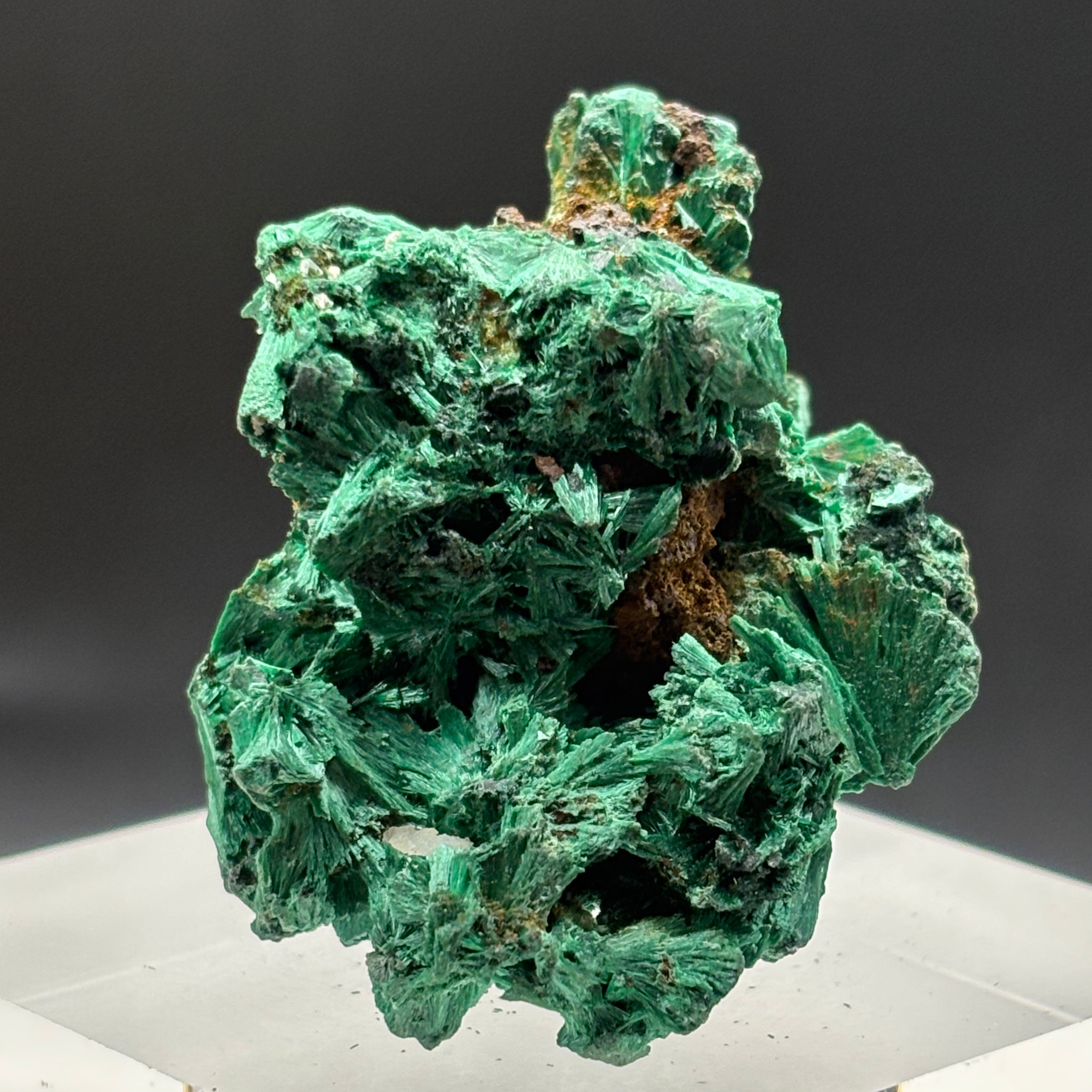Emperor Malachite - 143