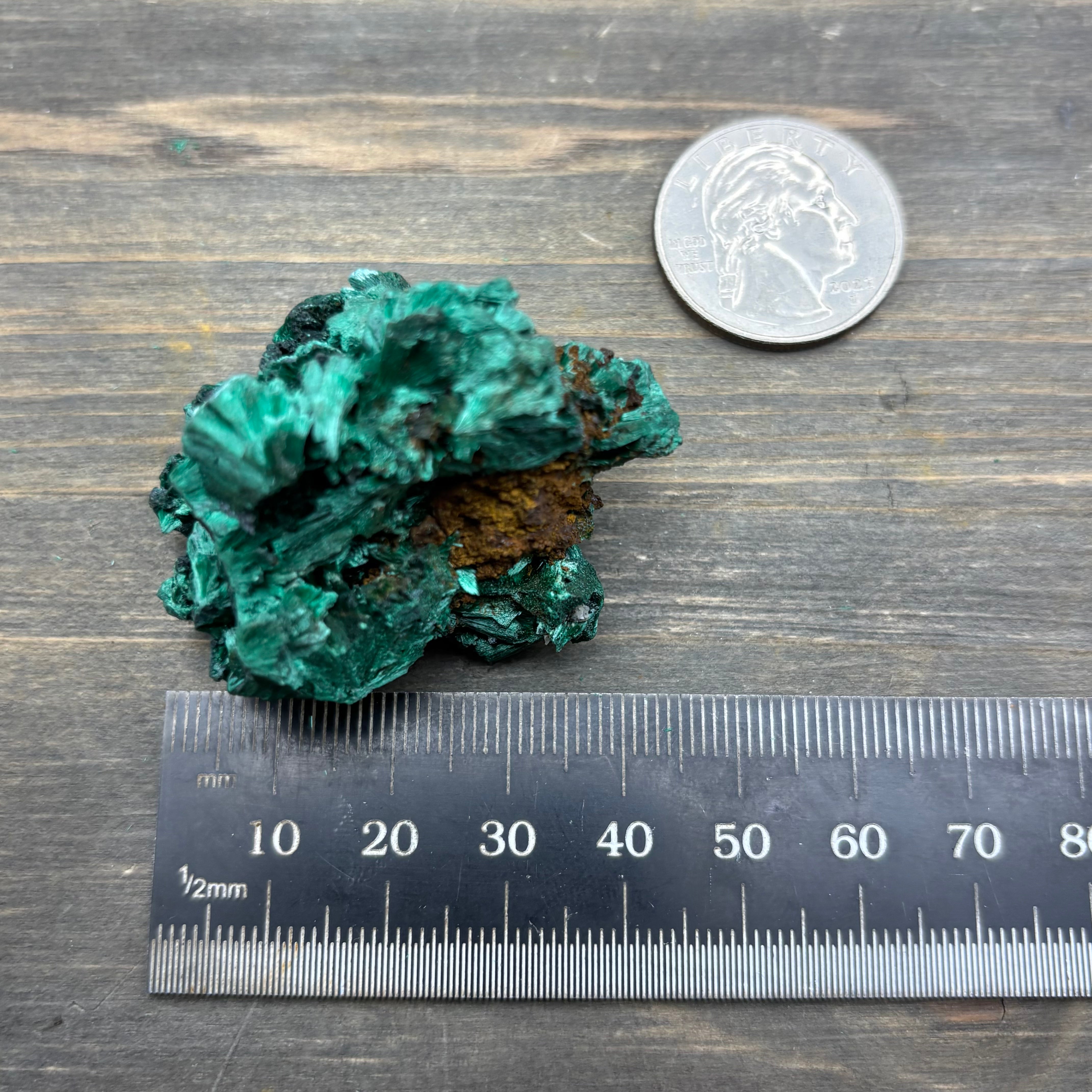 Emperor Malachite - 143