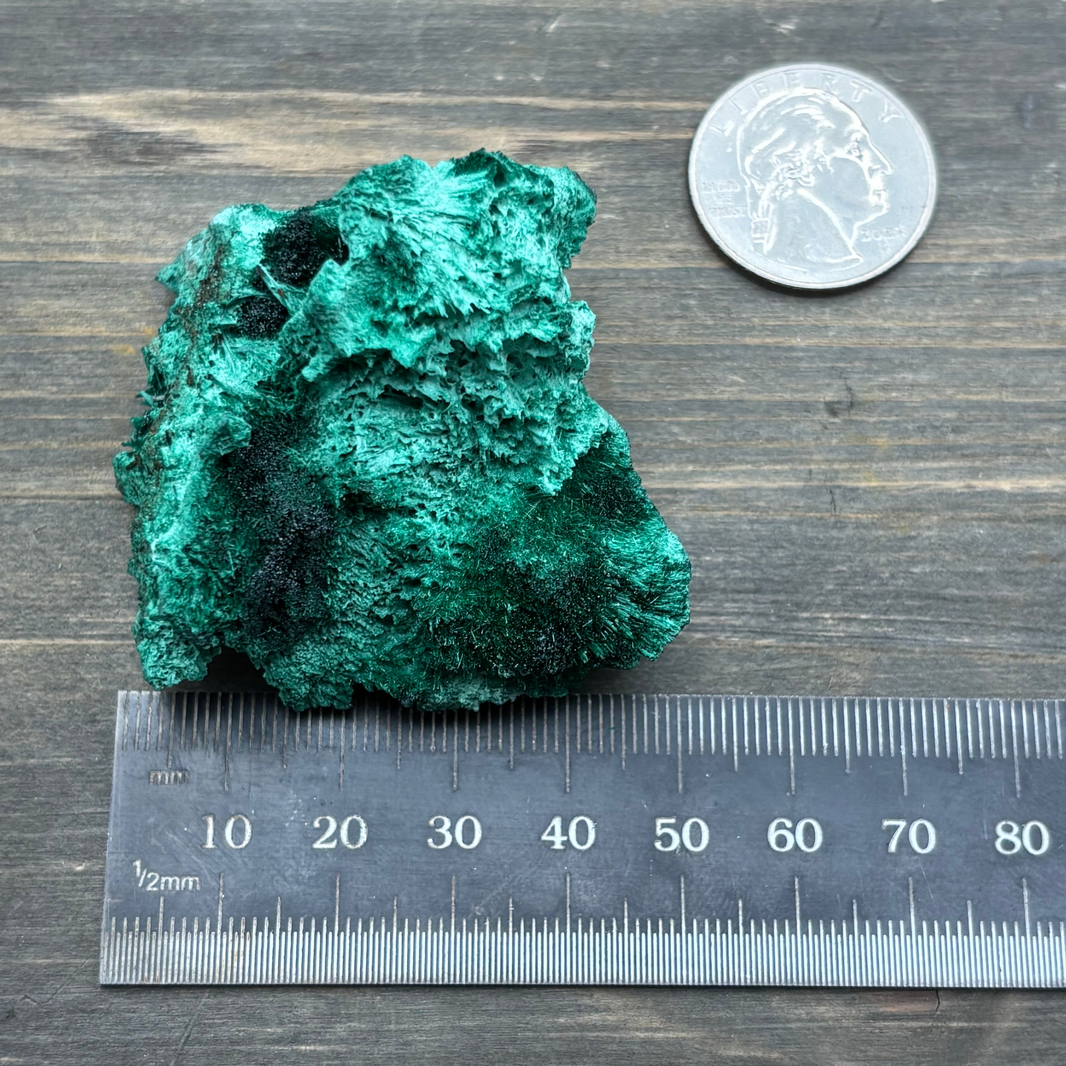 Emperor Malachite - 144